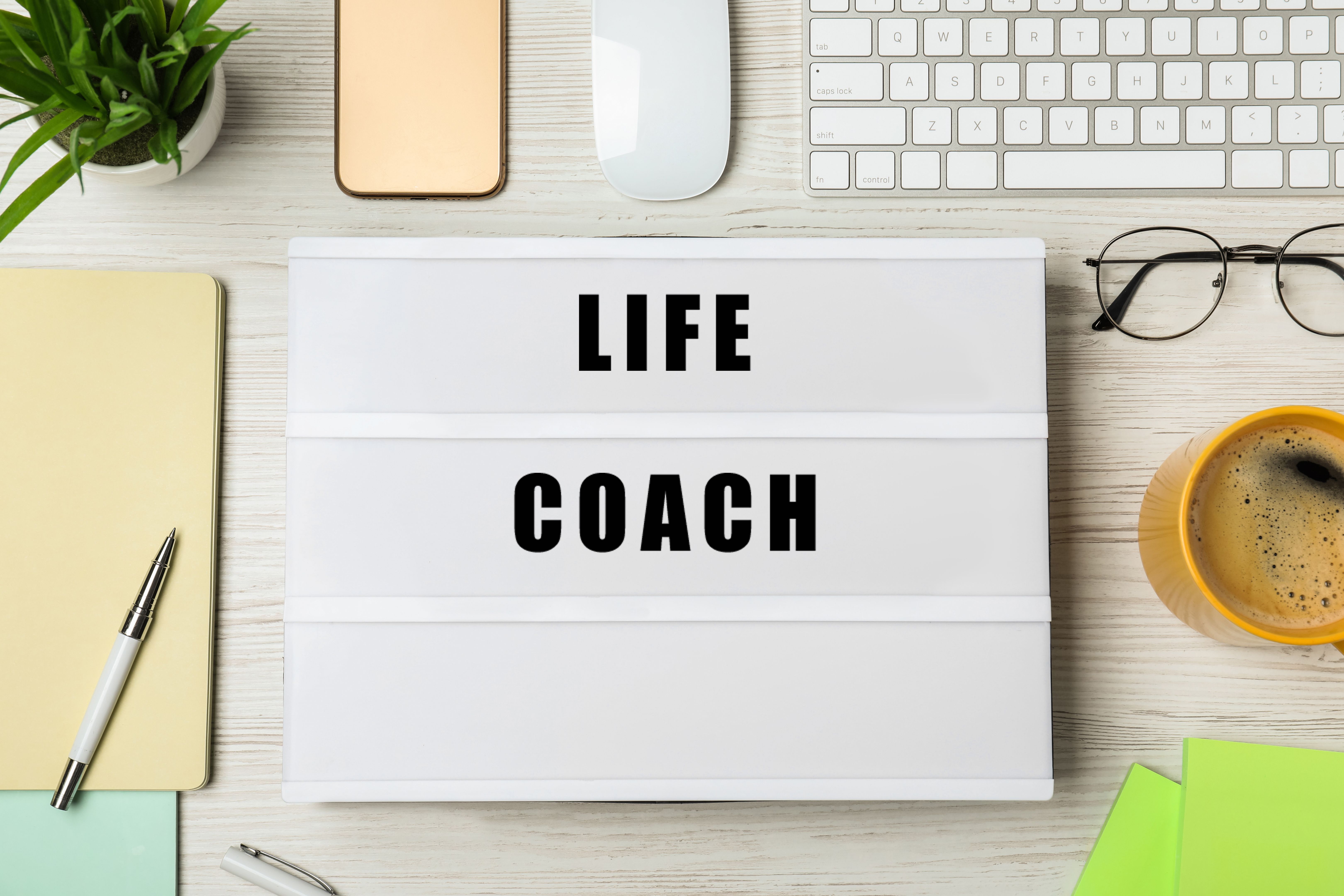 LifeHarbour Transformation