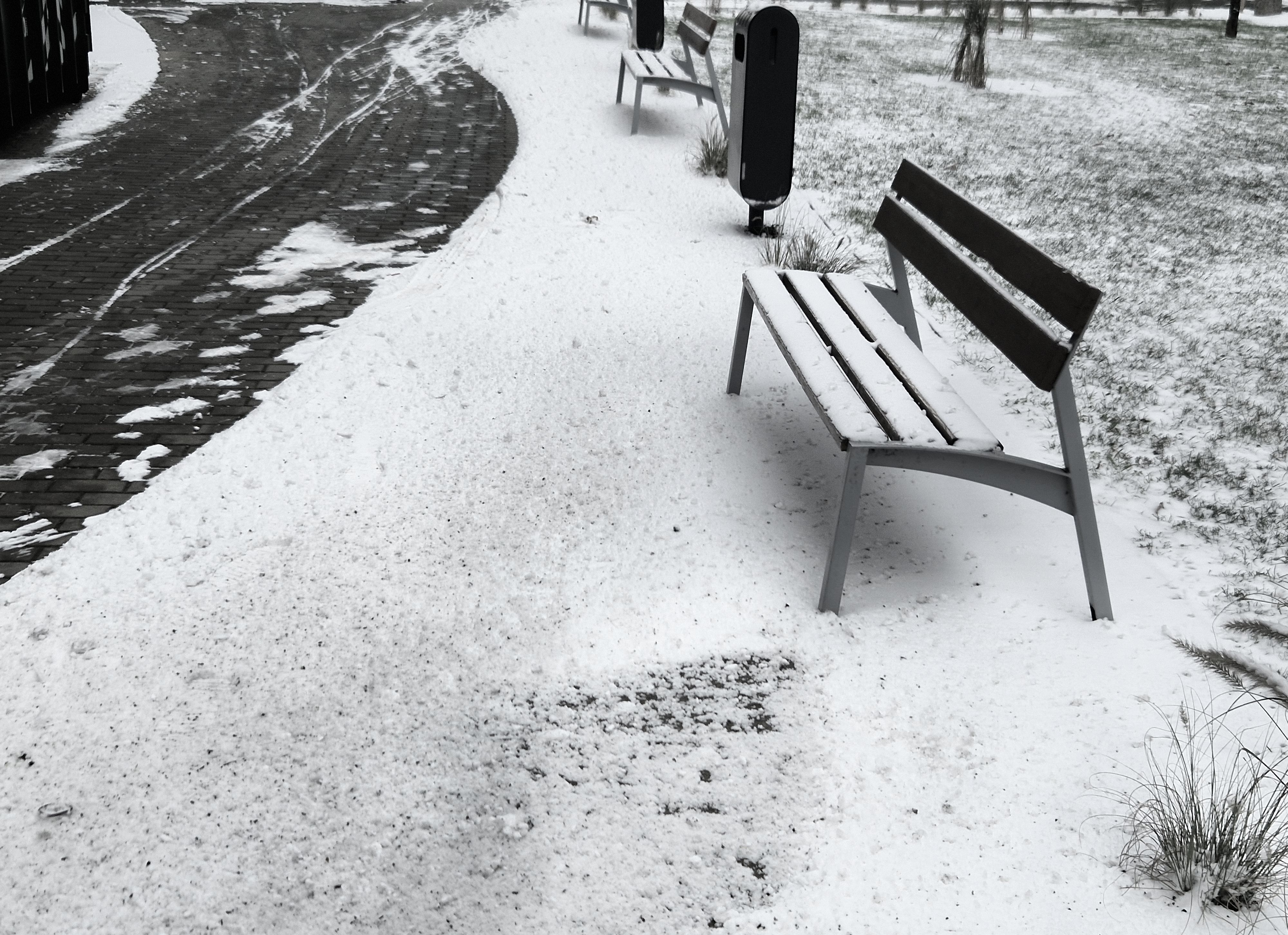 seasonal sweepstakes