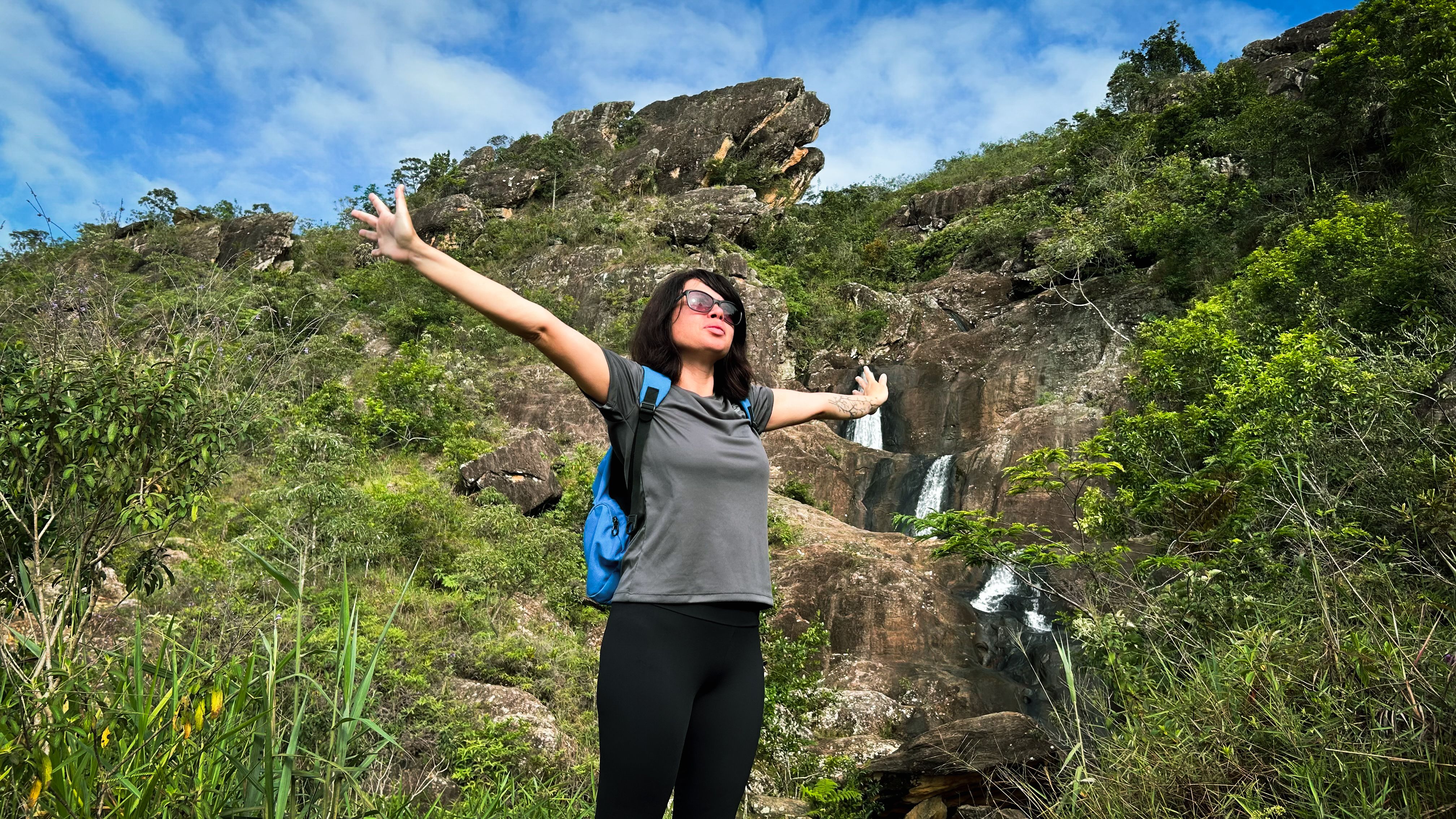 mental wellness journey