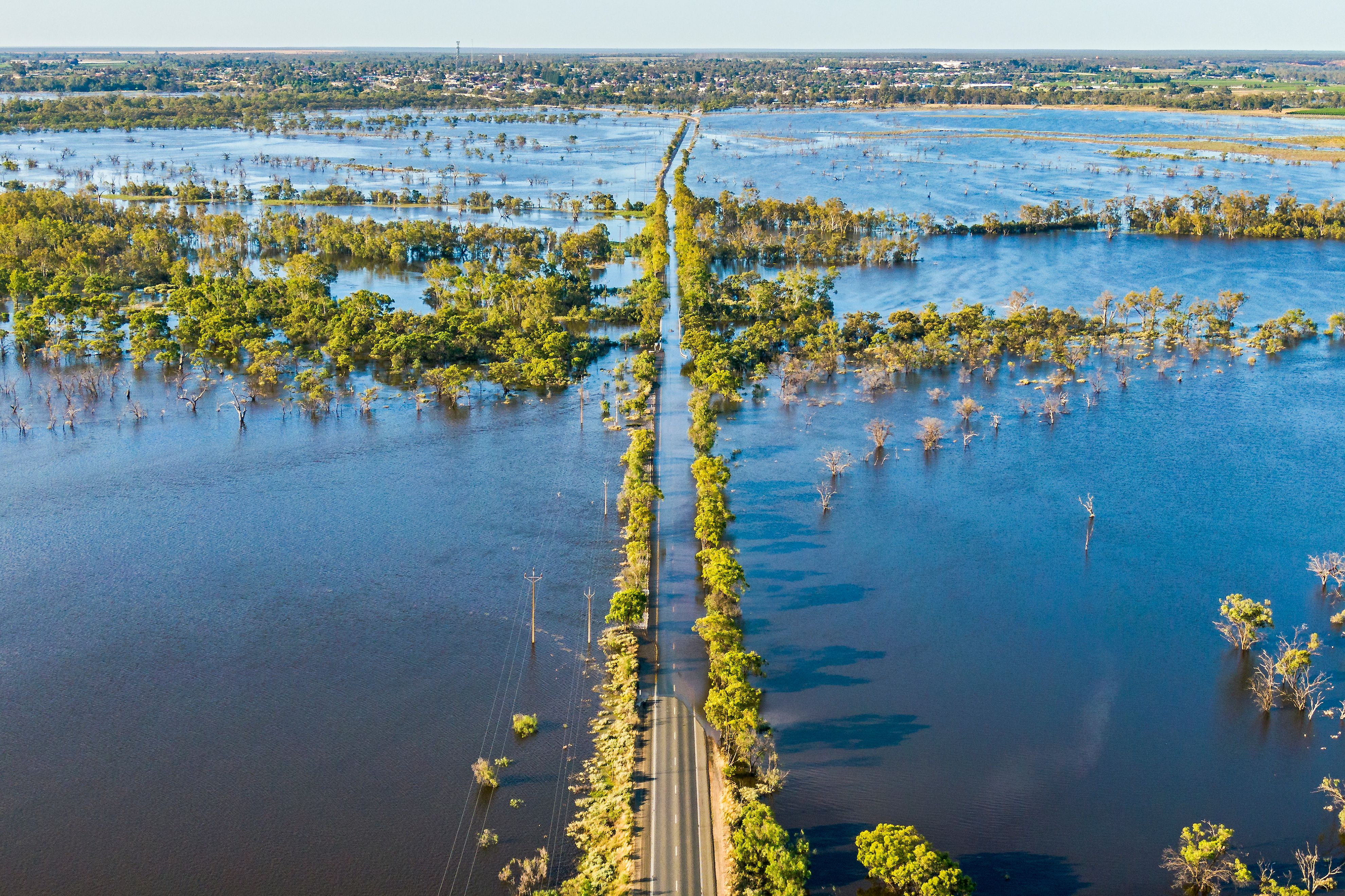 flooded landscape