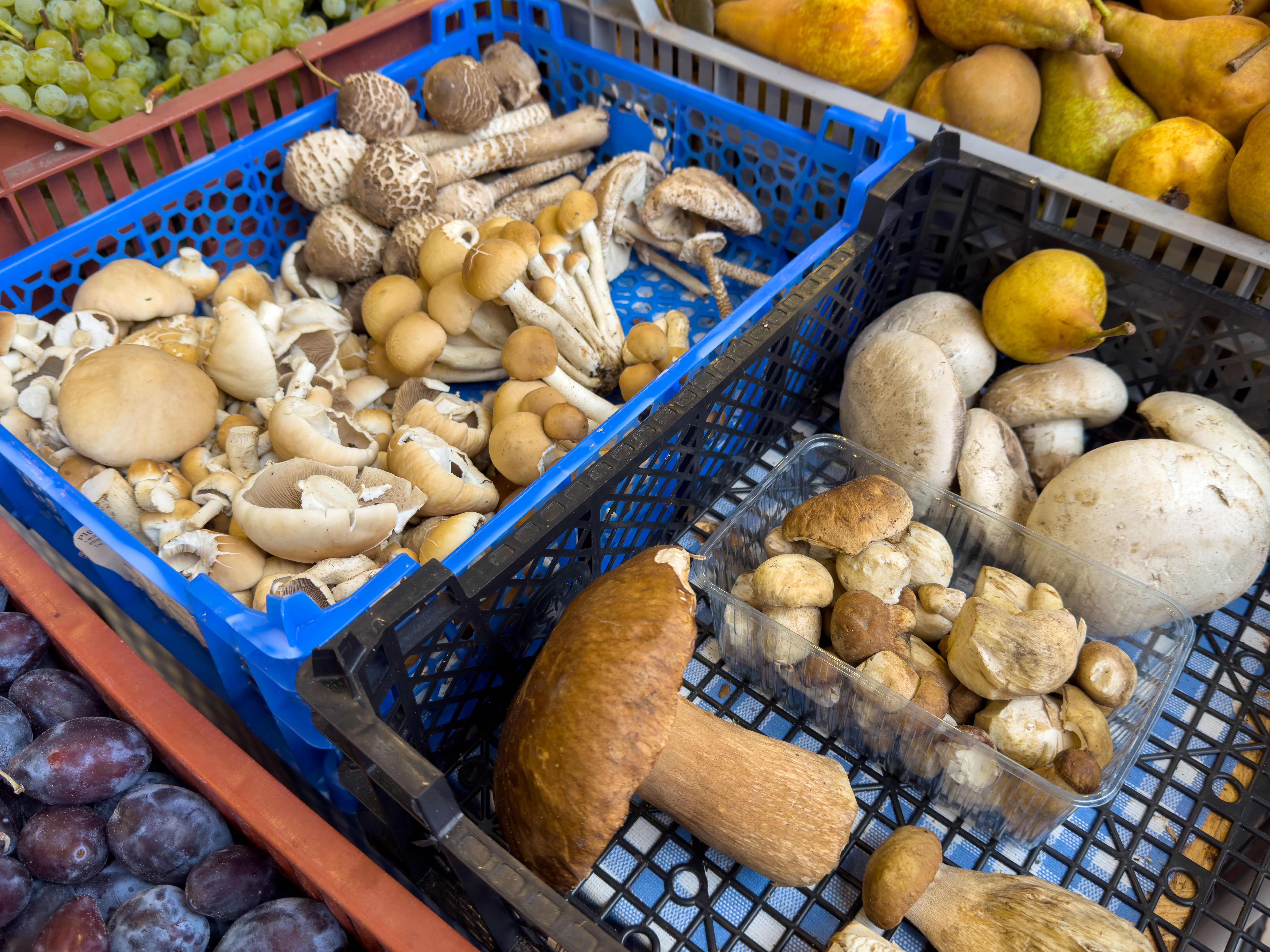 local mushroom market