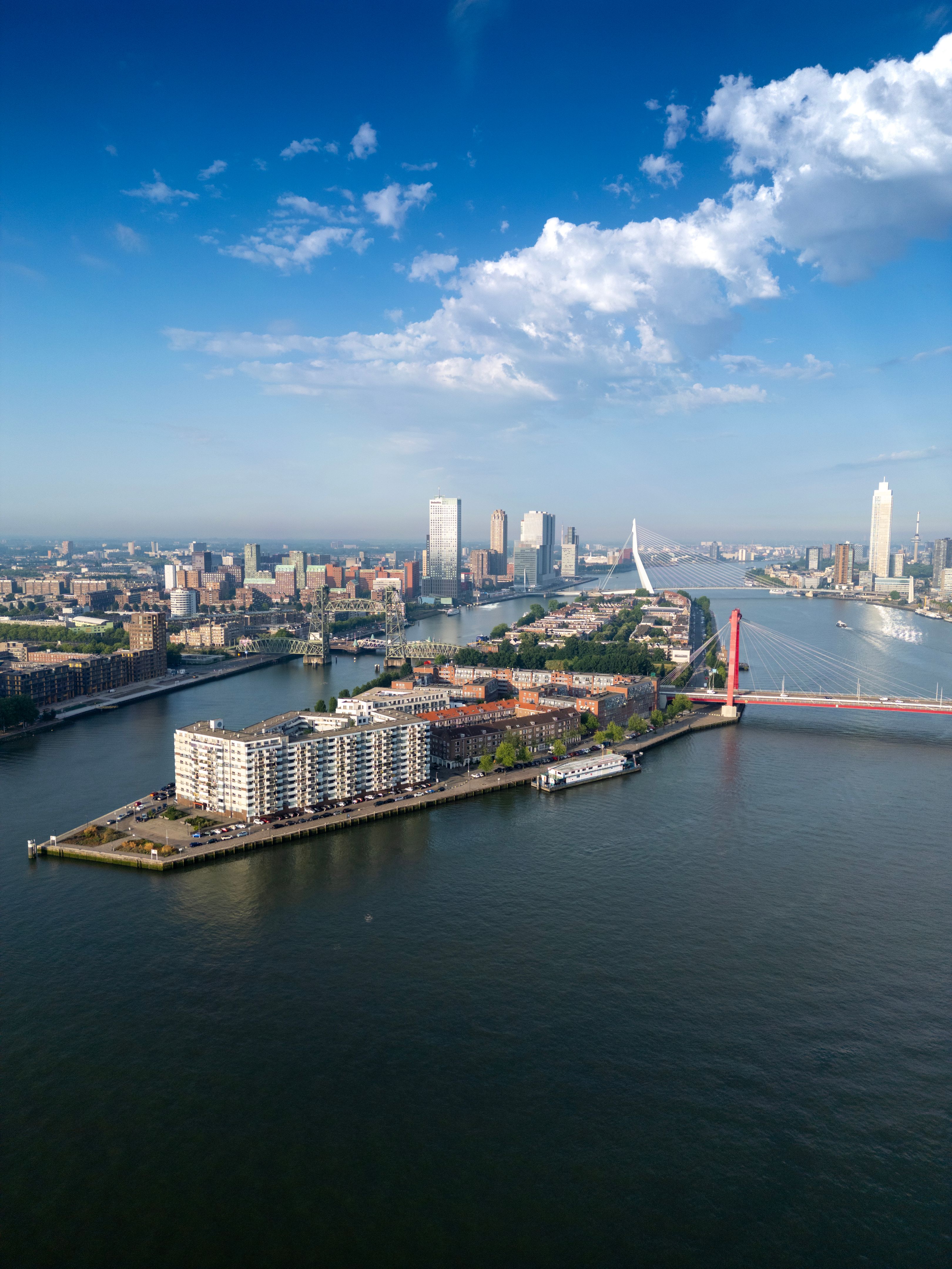 rotterdam skyline