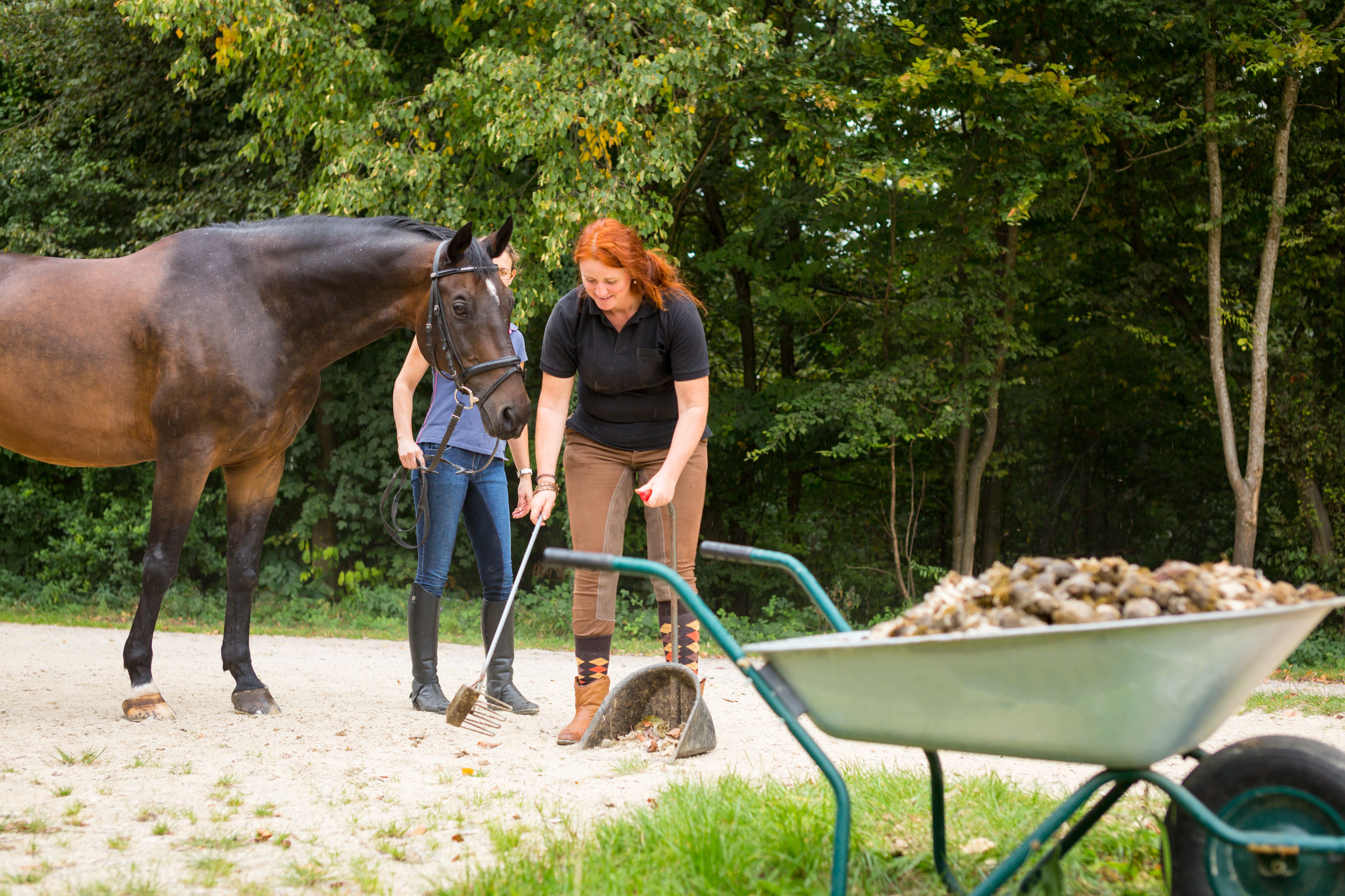 horse manure management