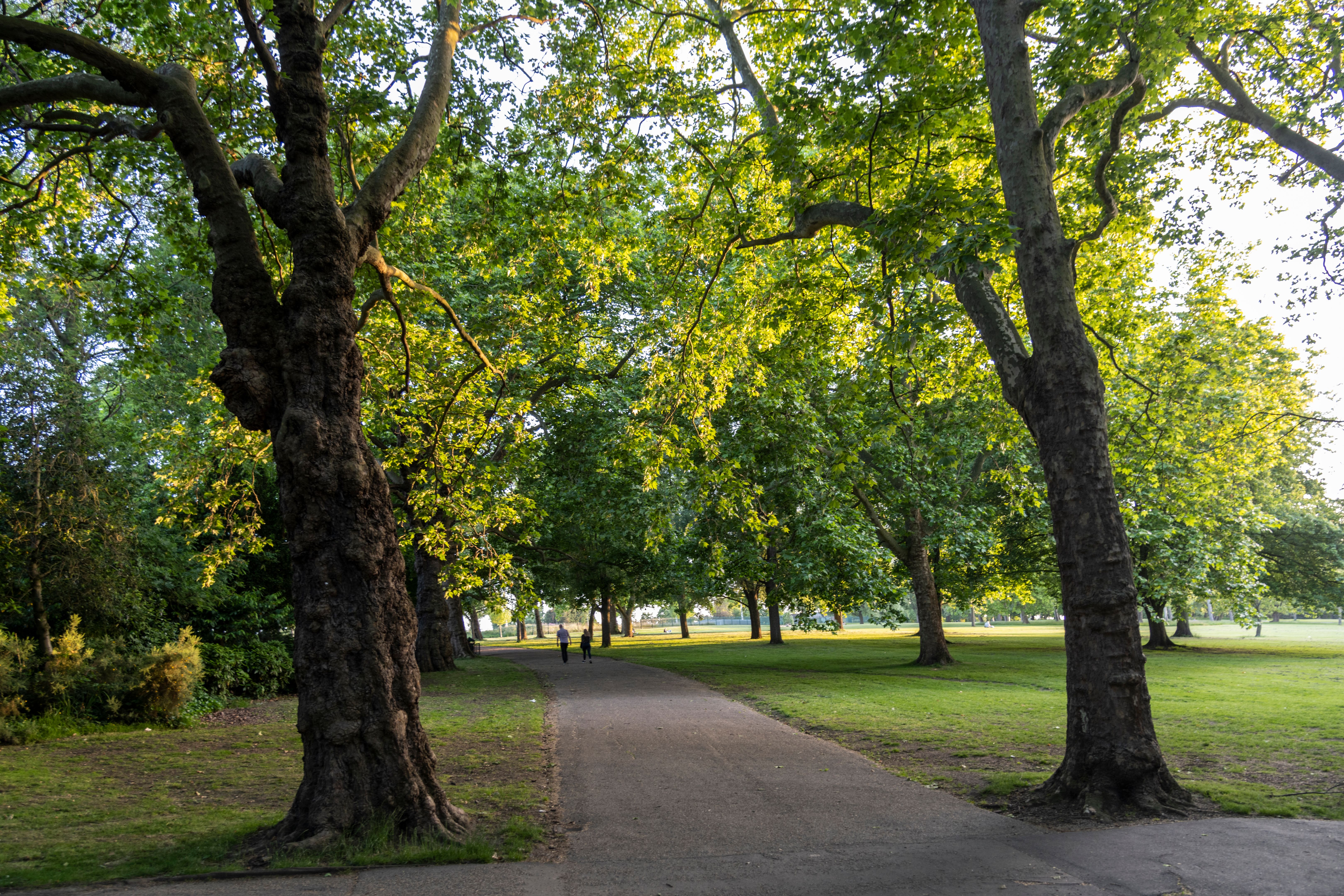 london park yoga