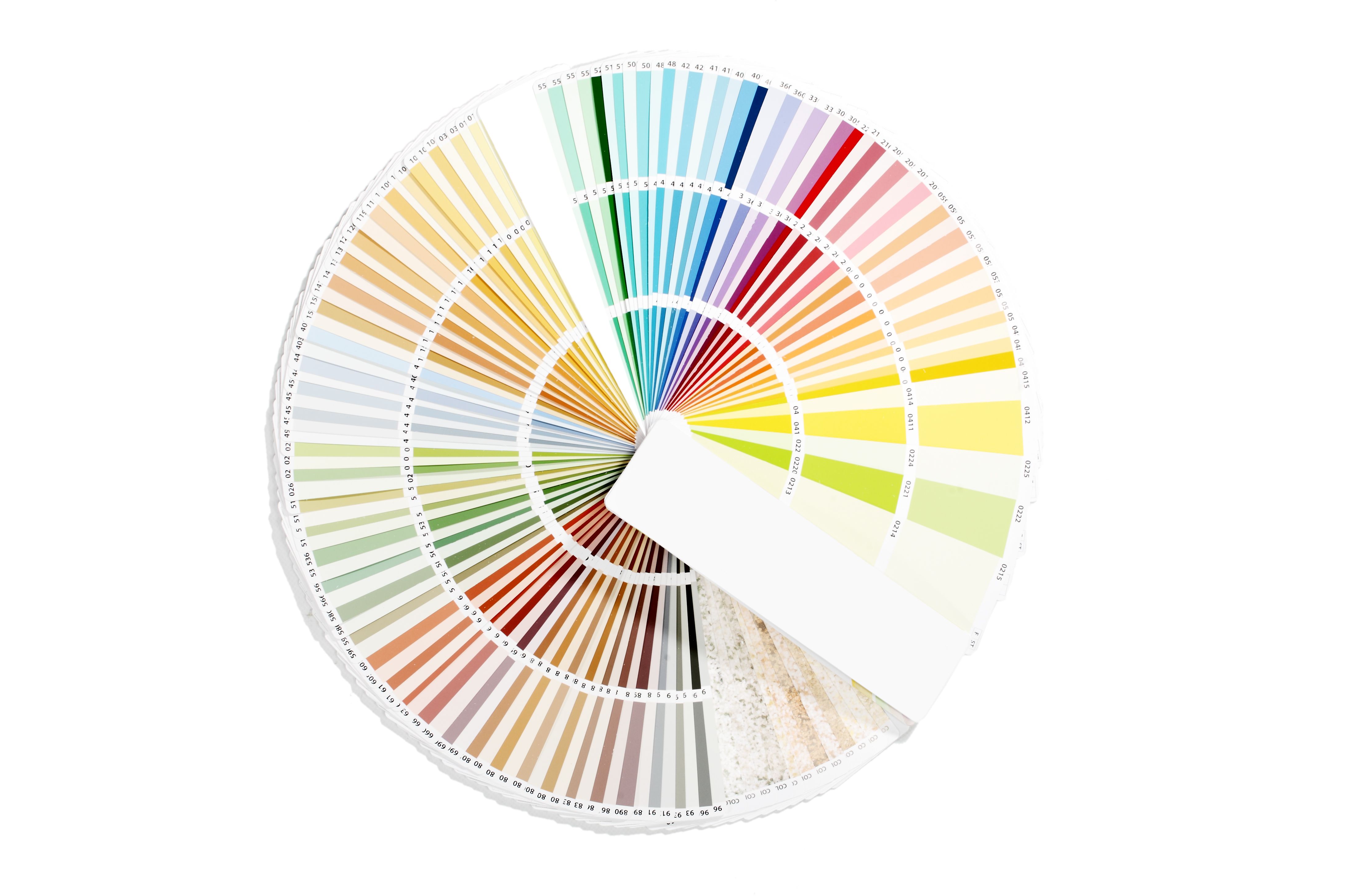 color palette typography