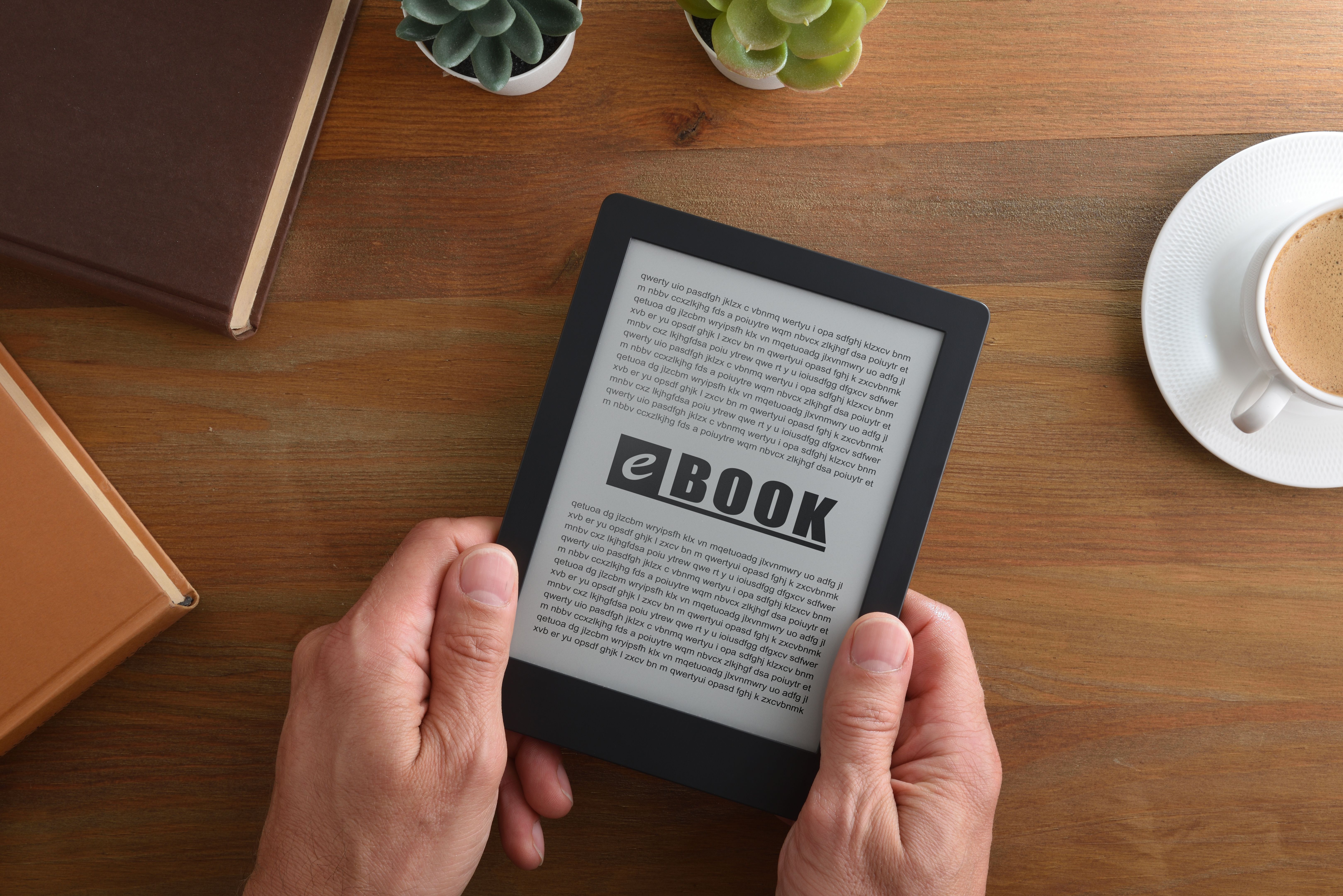 interactive e-book