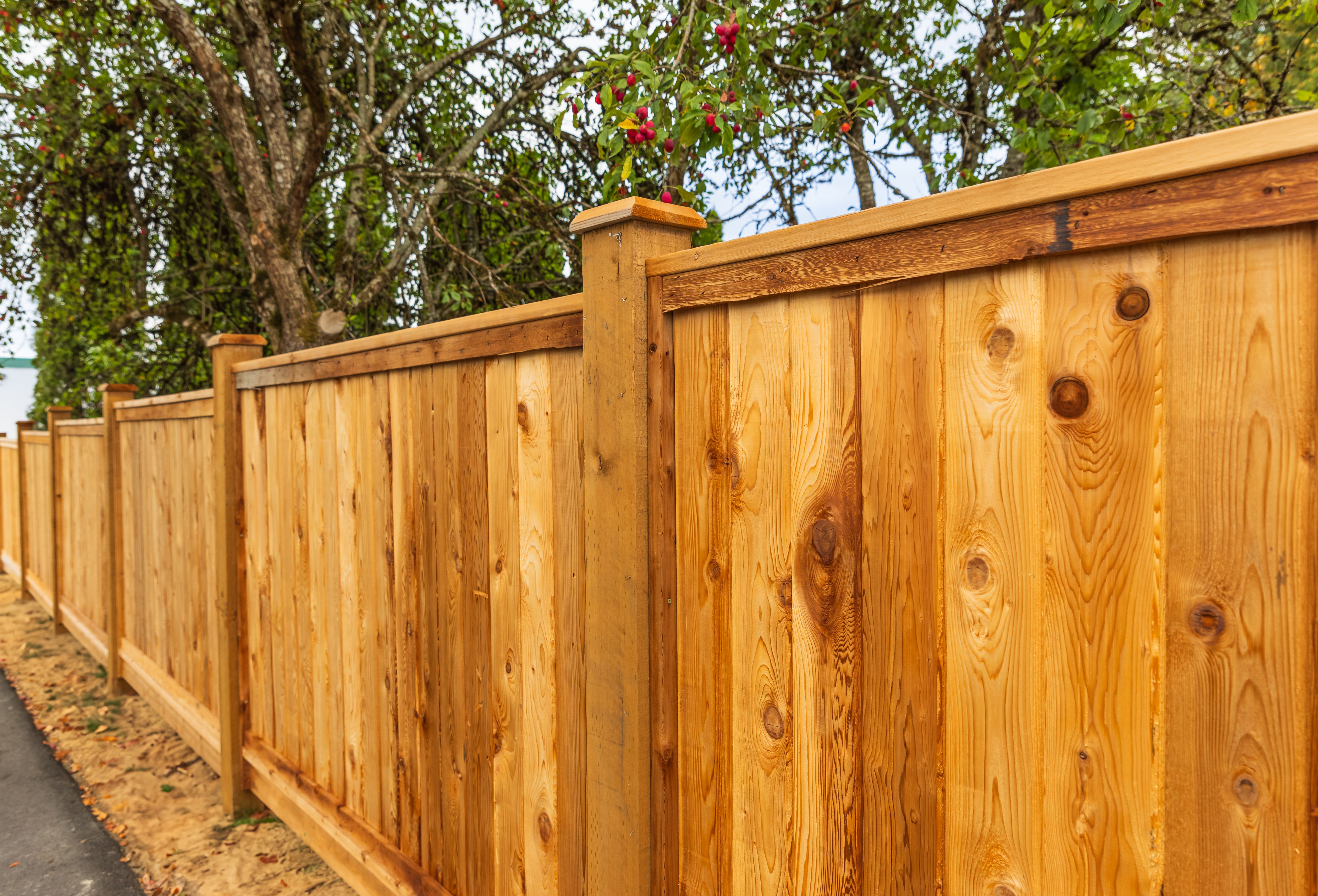 home fence
