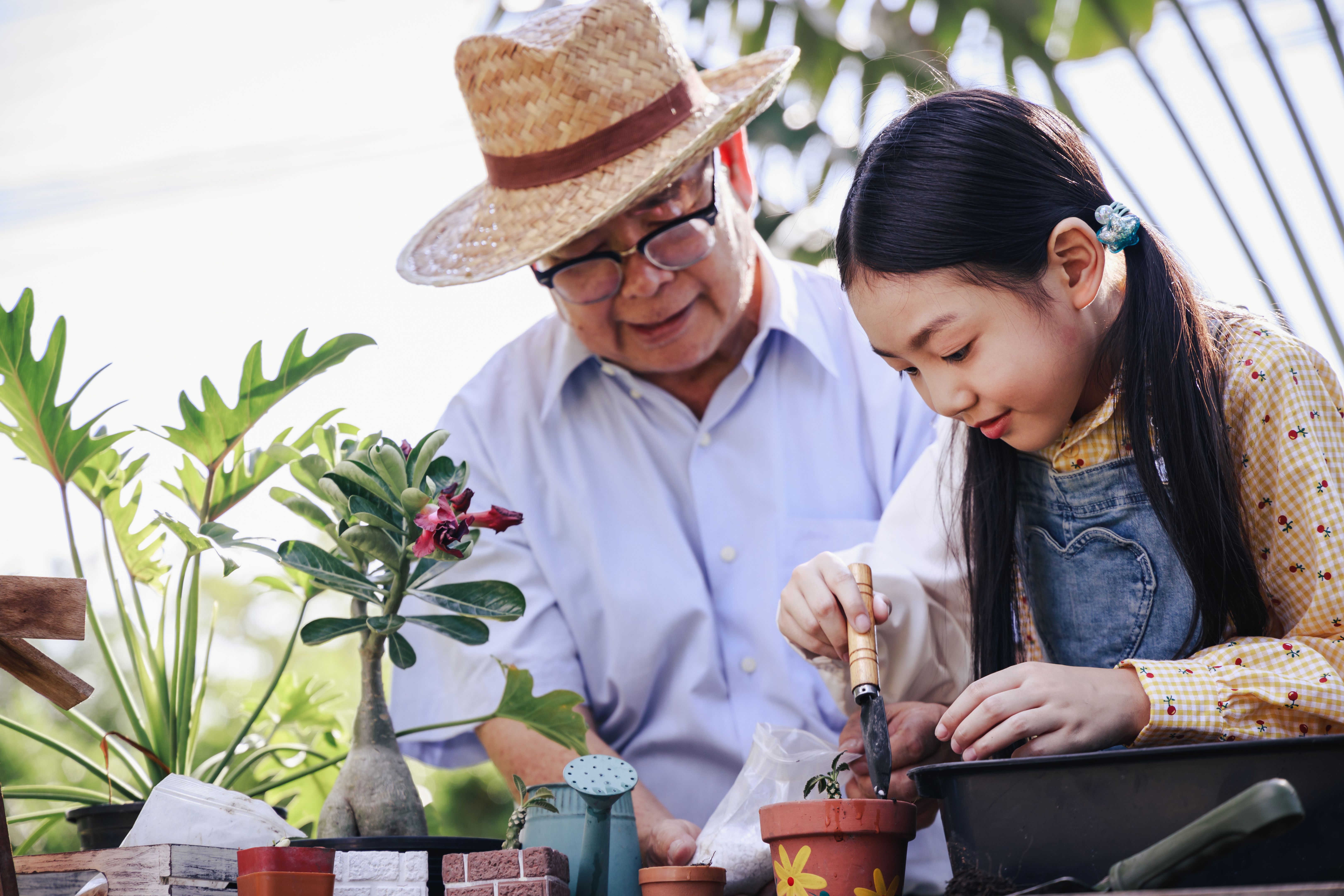 spring gardening