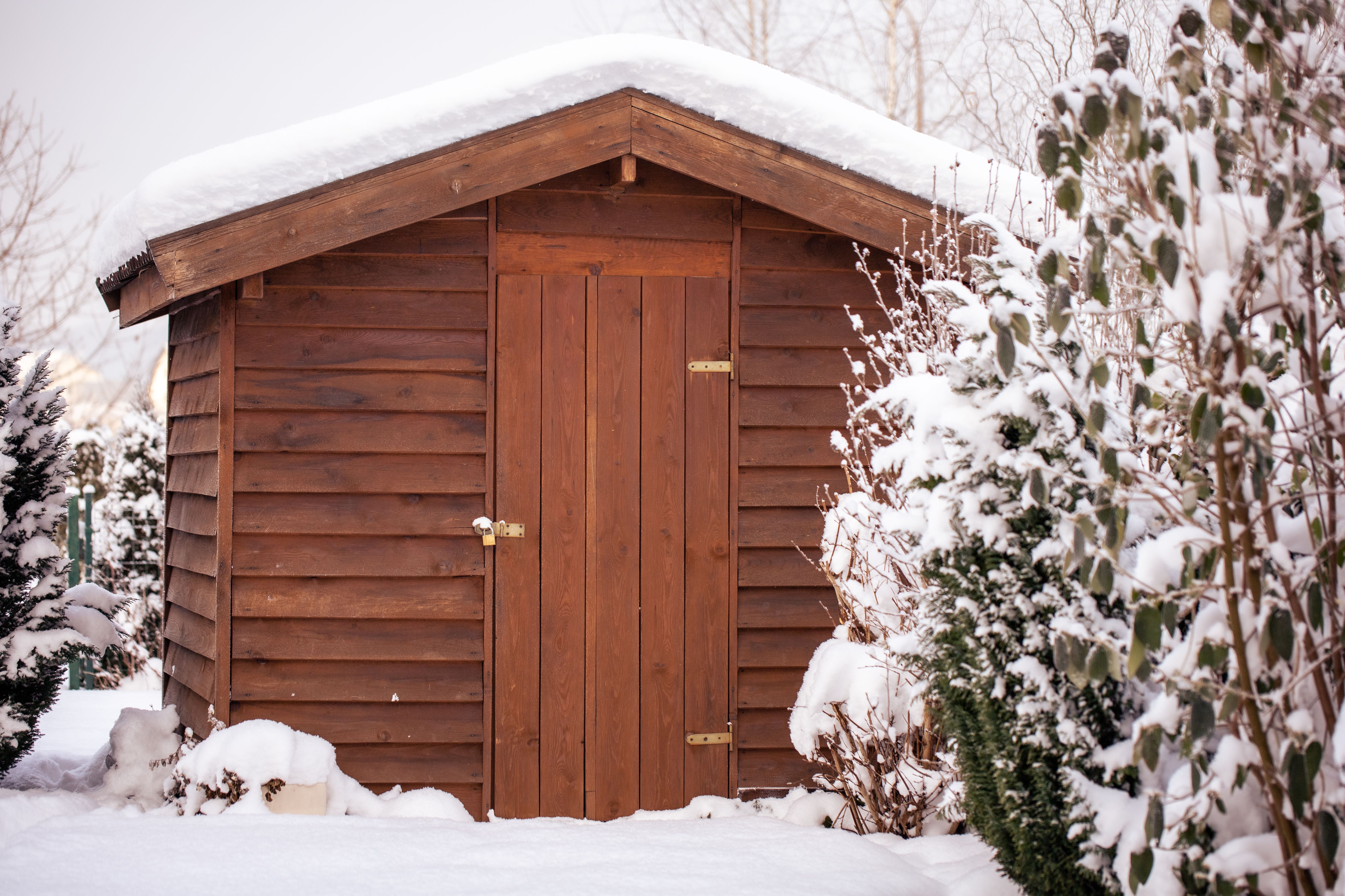 winter shed