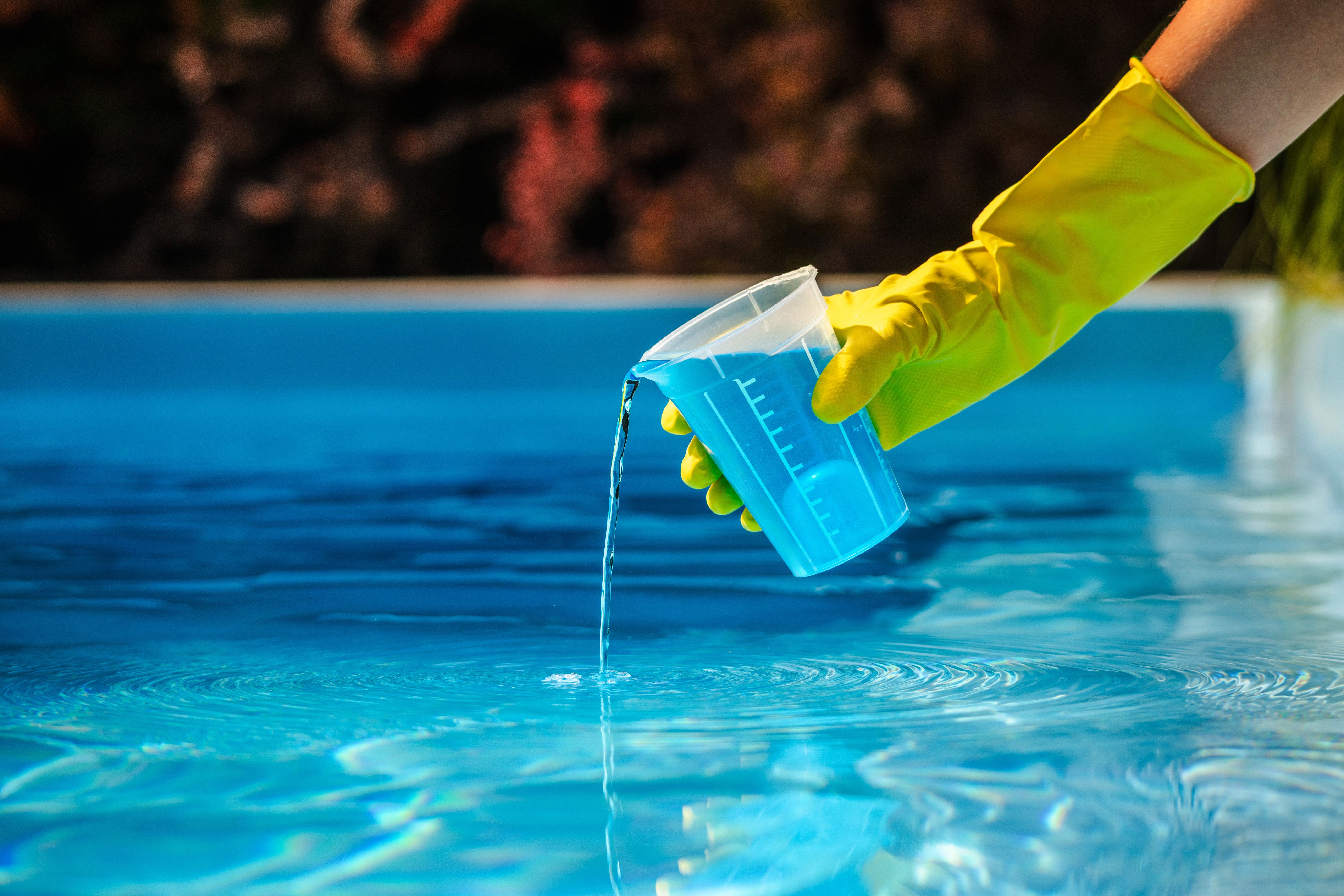 pool maintenance equipment