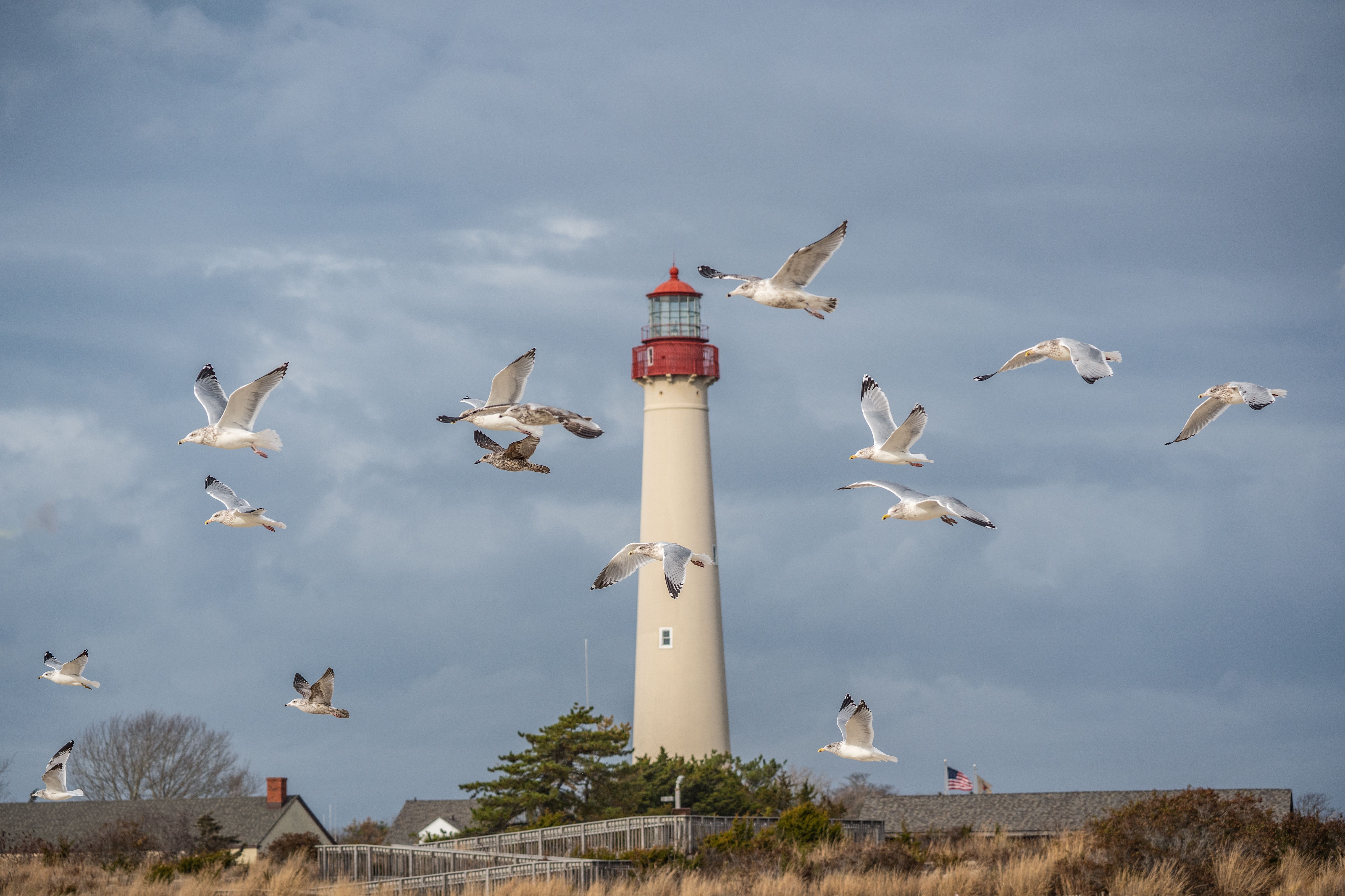 Cape May lighthouse