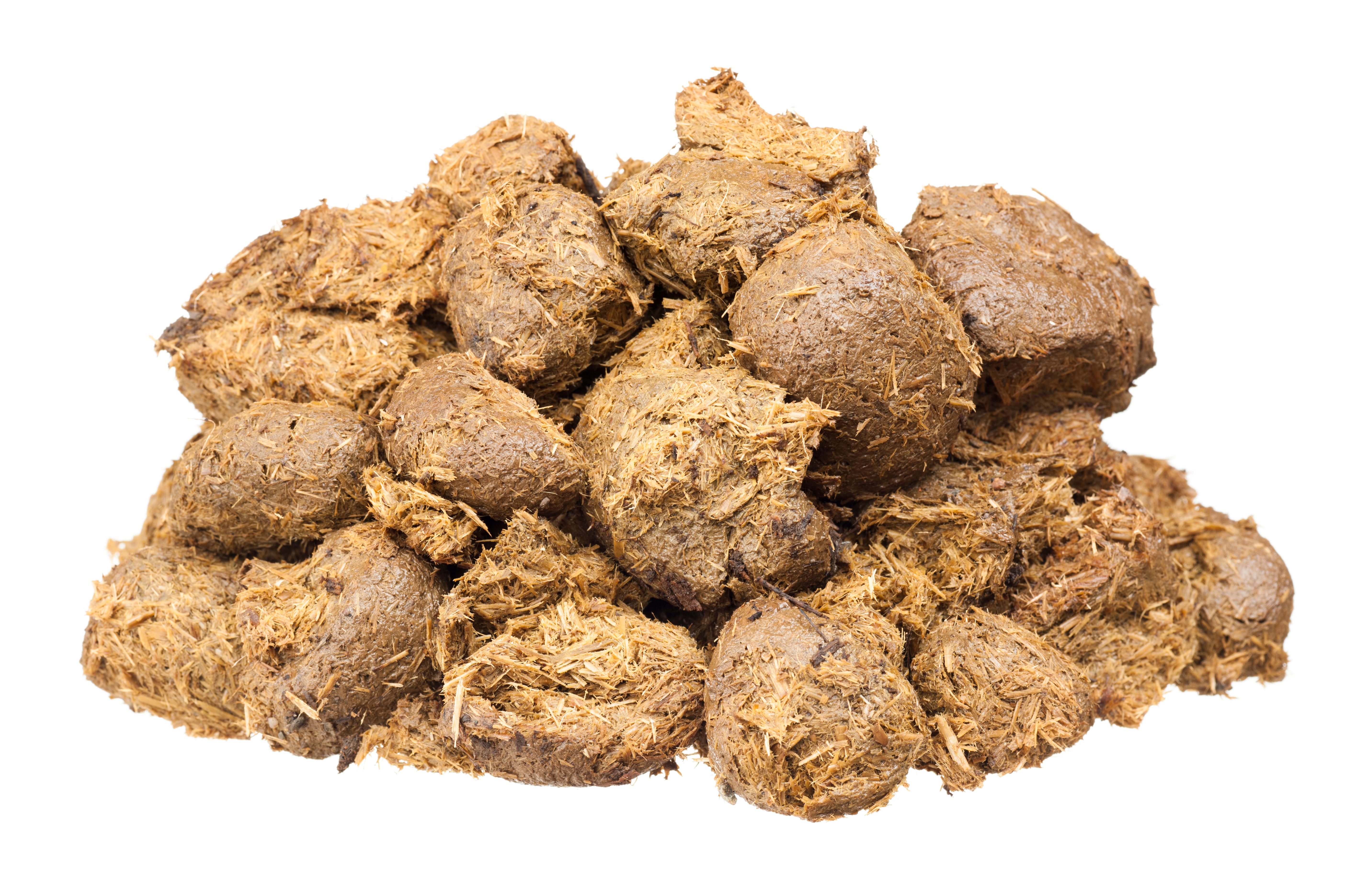 horse manure fertilizer