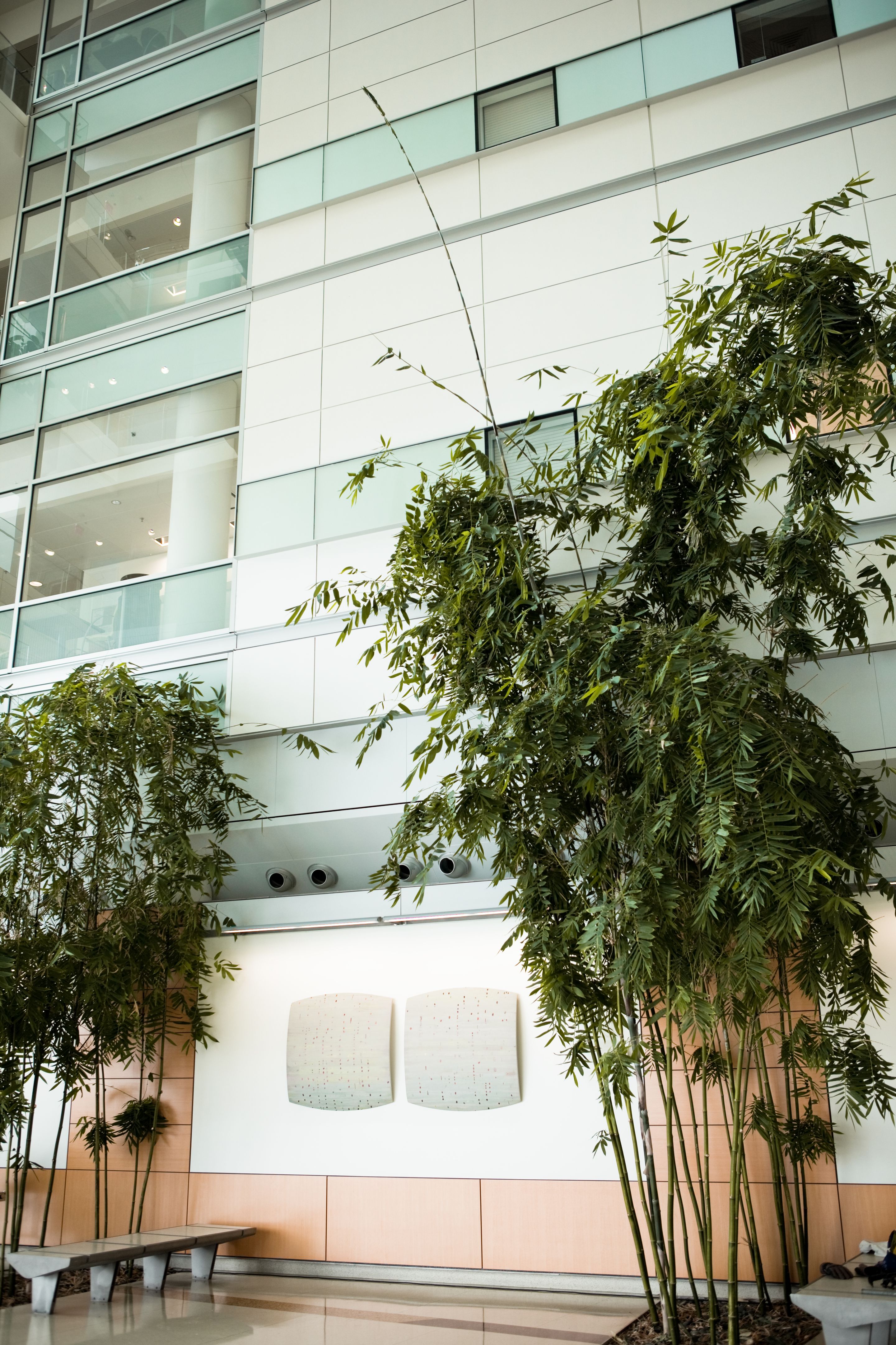 charles schwab office