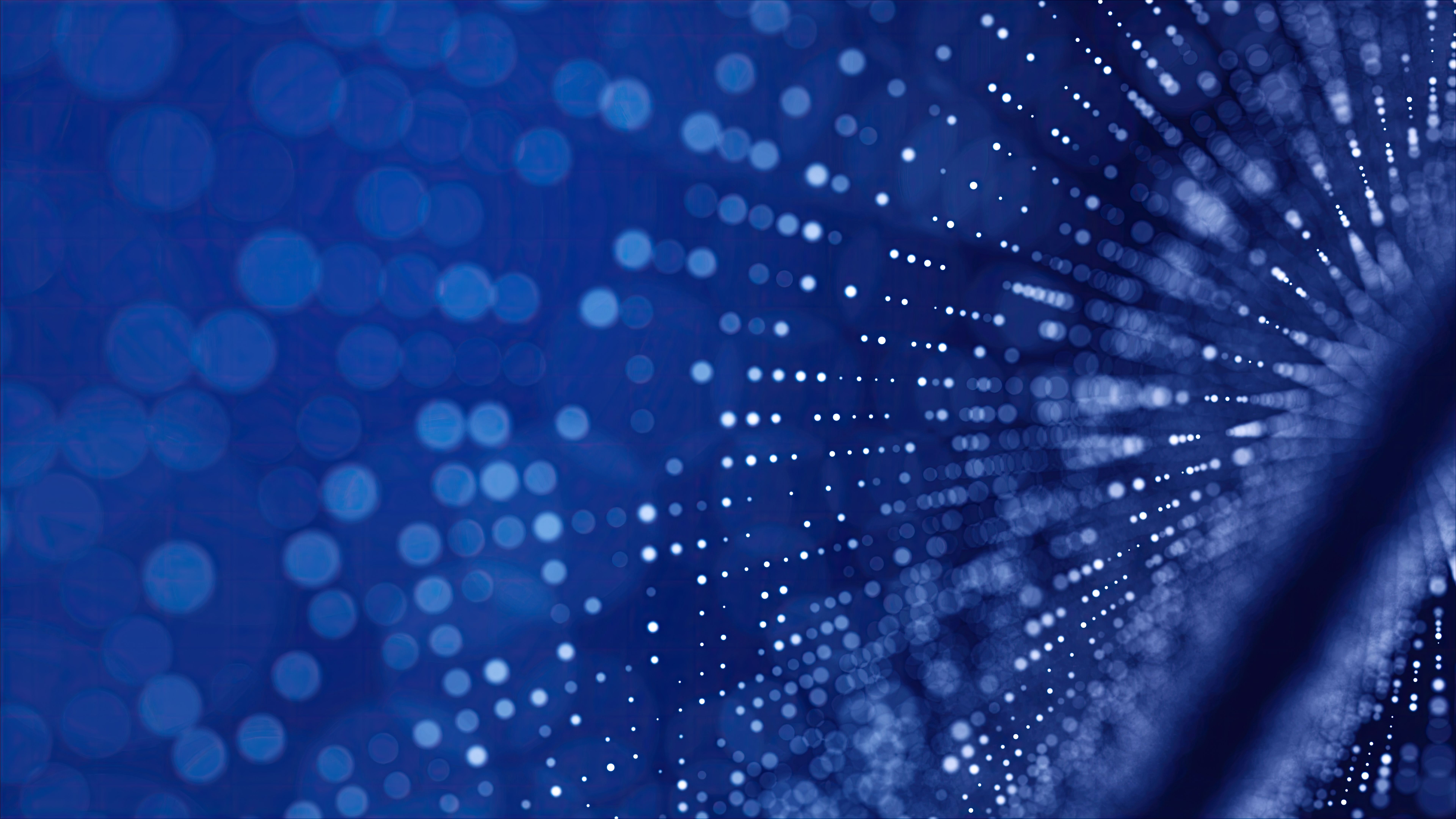 Technological Field.