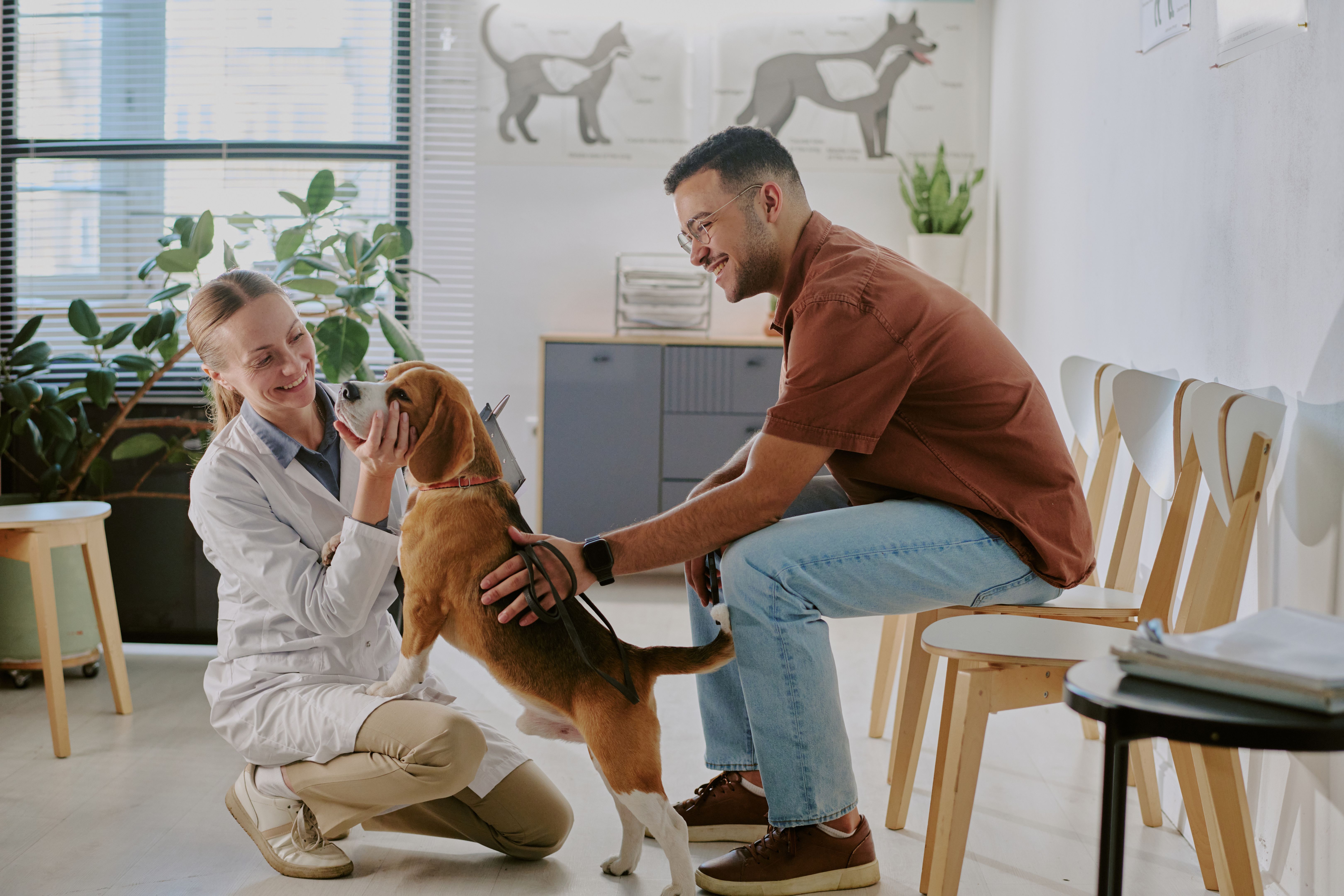 veterinarian with dog