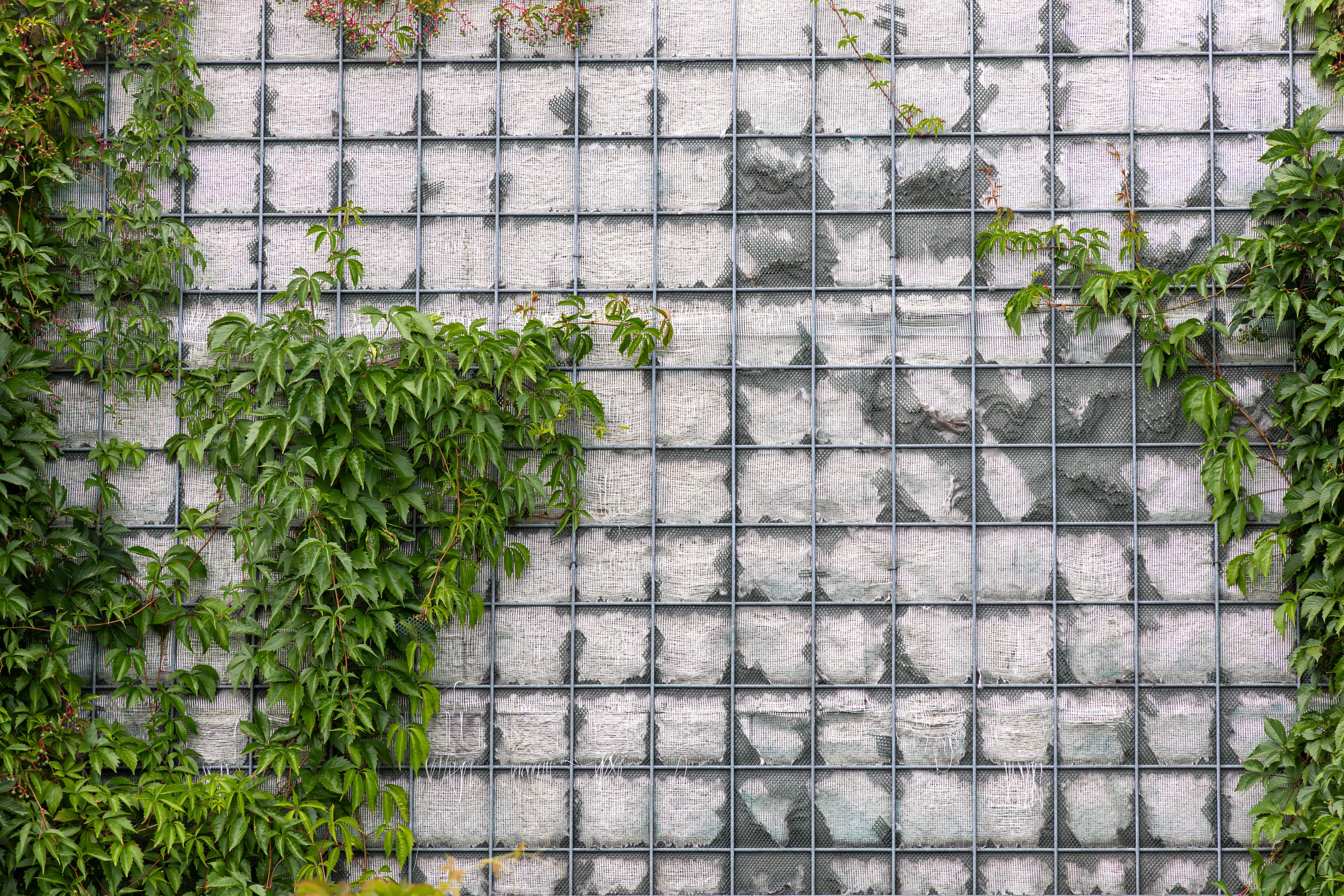 eco-friendly fencing