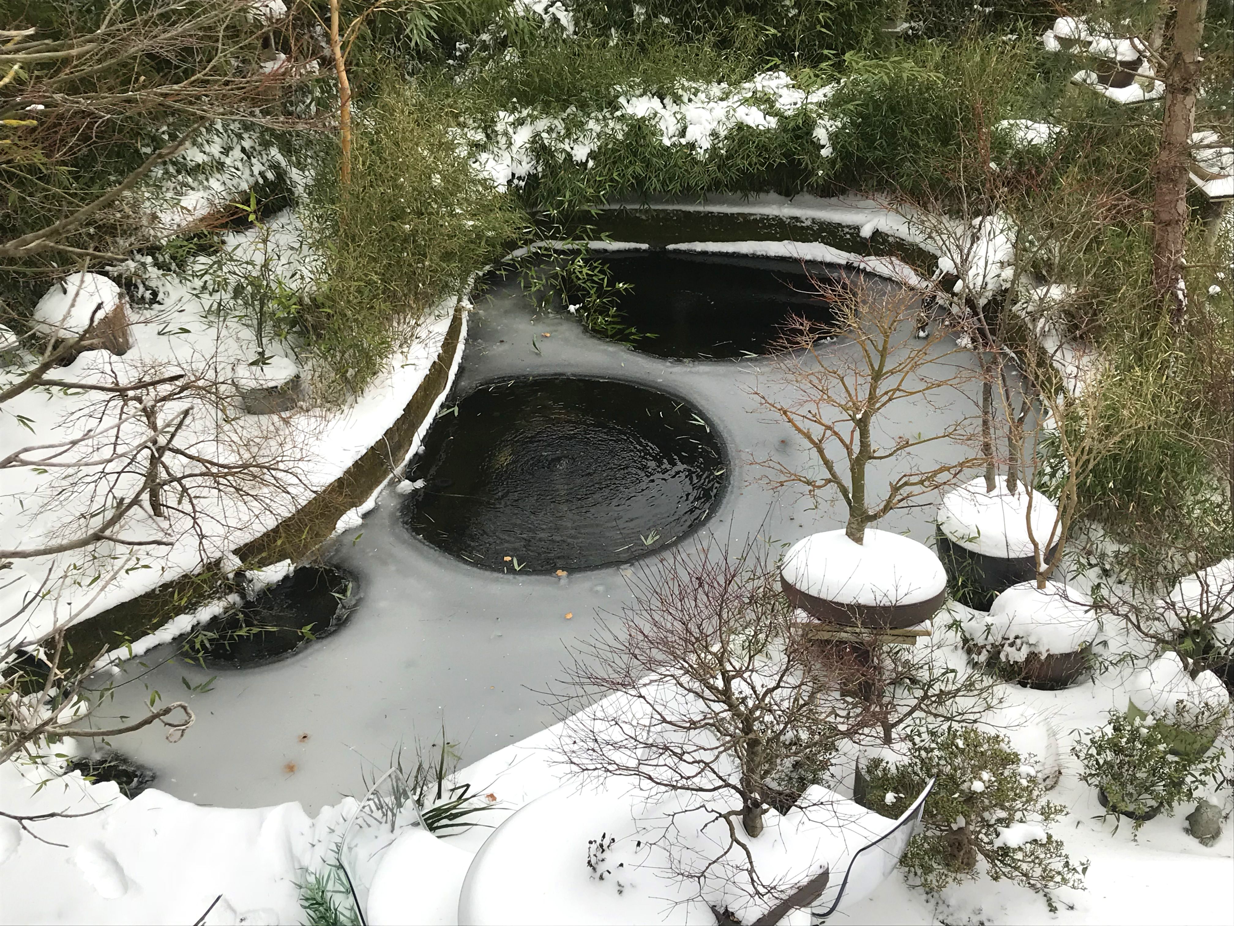 winter pond