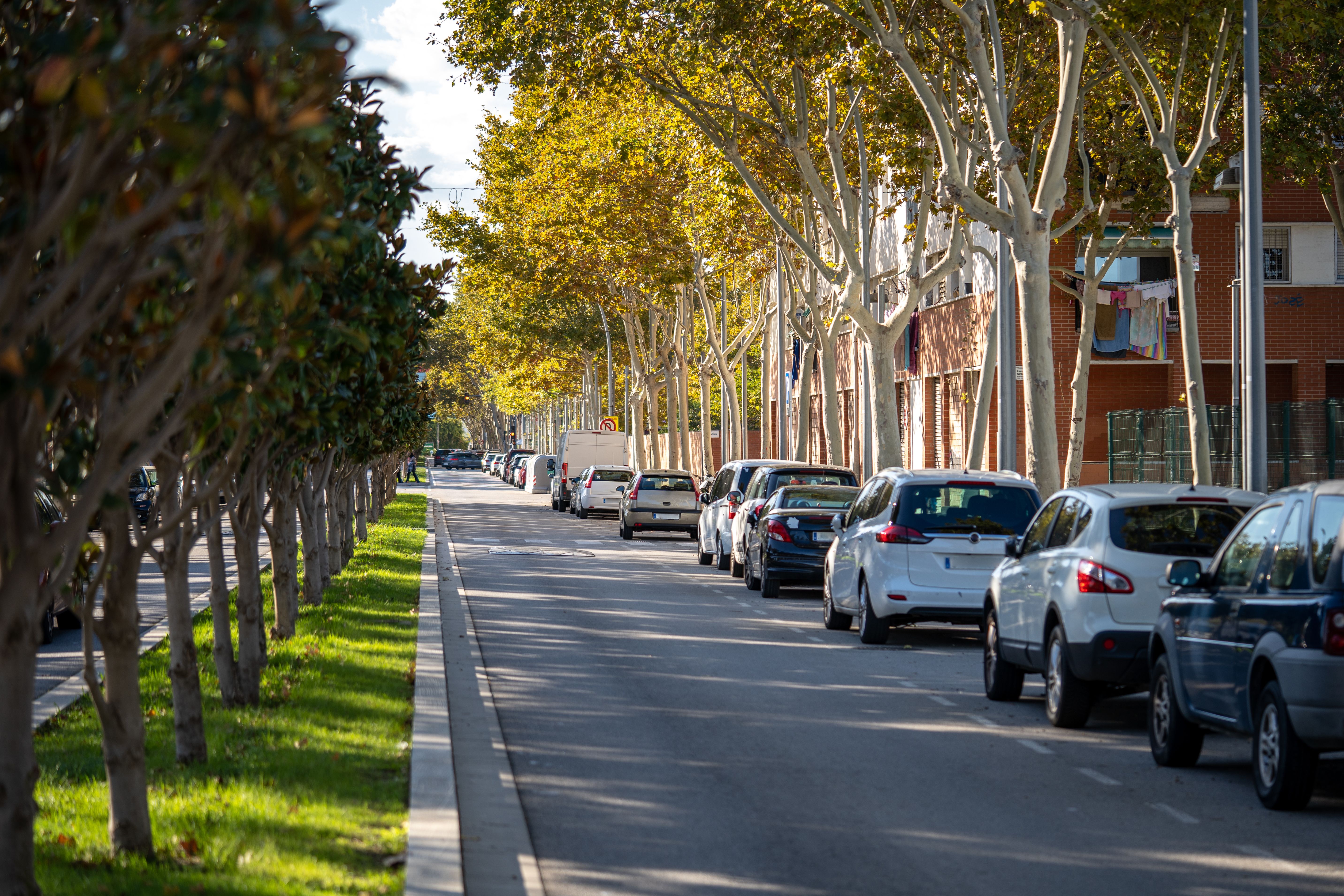 carpooling environment