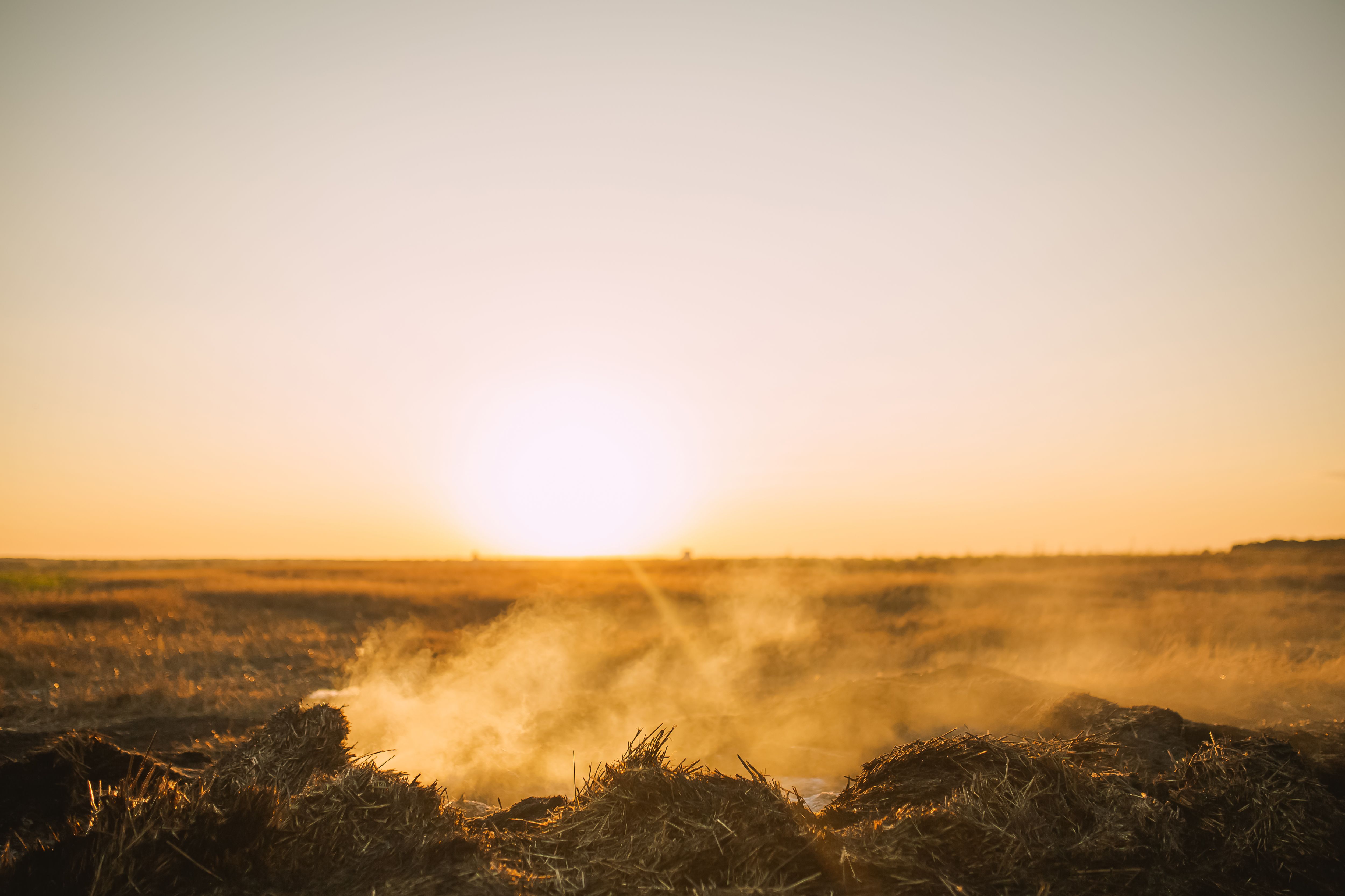 recycling bins stables
