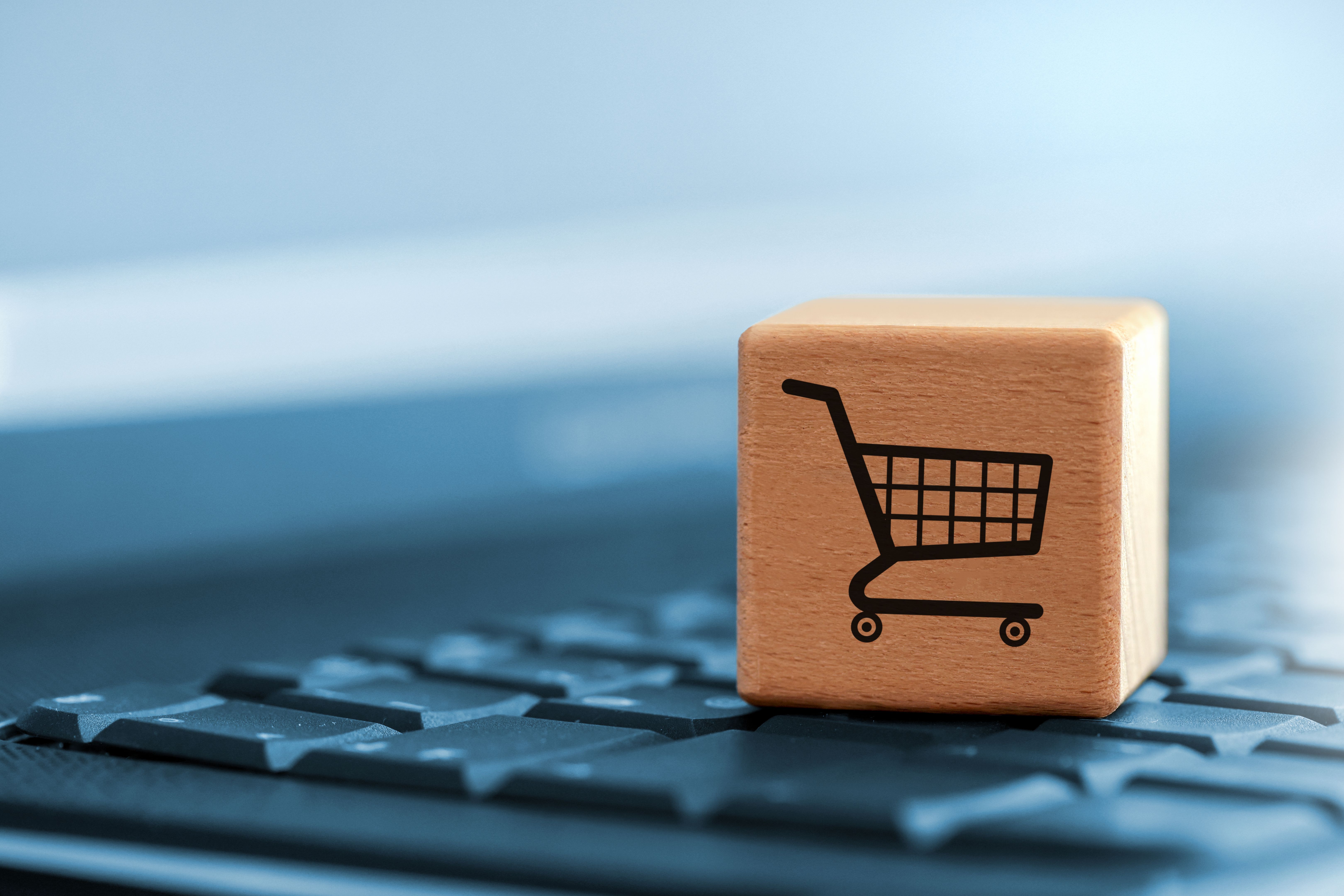 ecommerce business