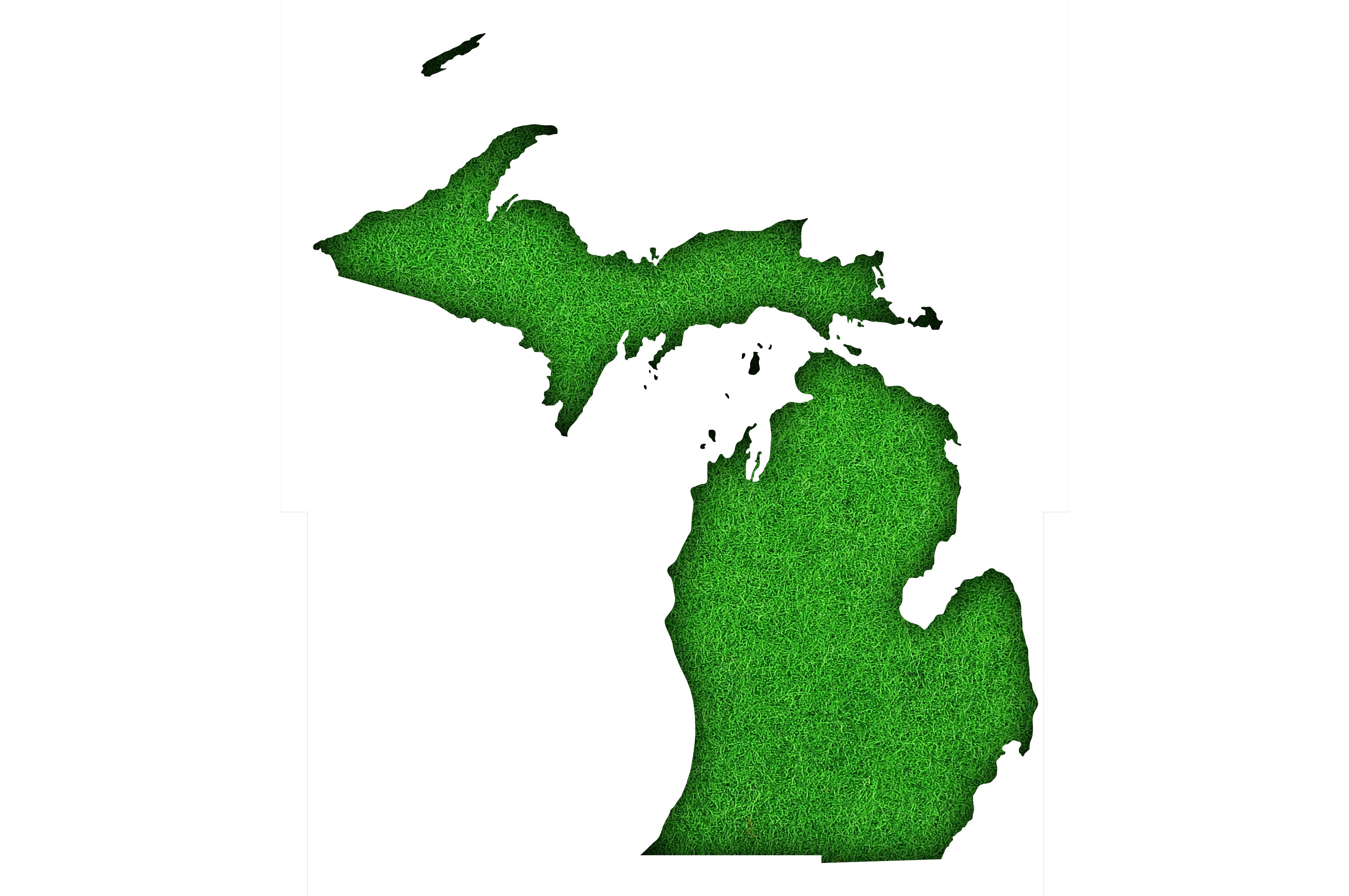 michigan wildlife pattern