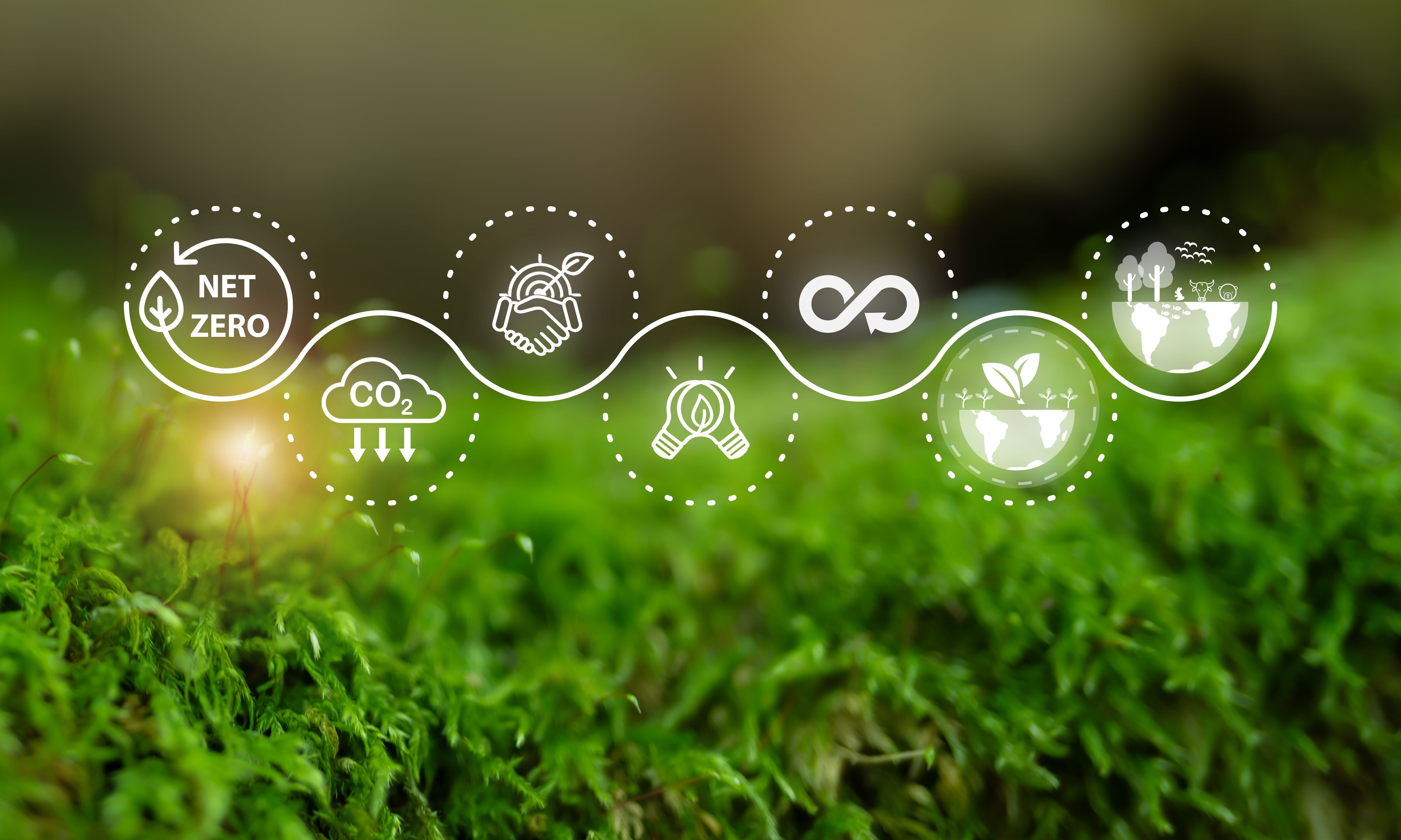green economy