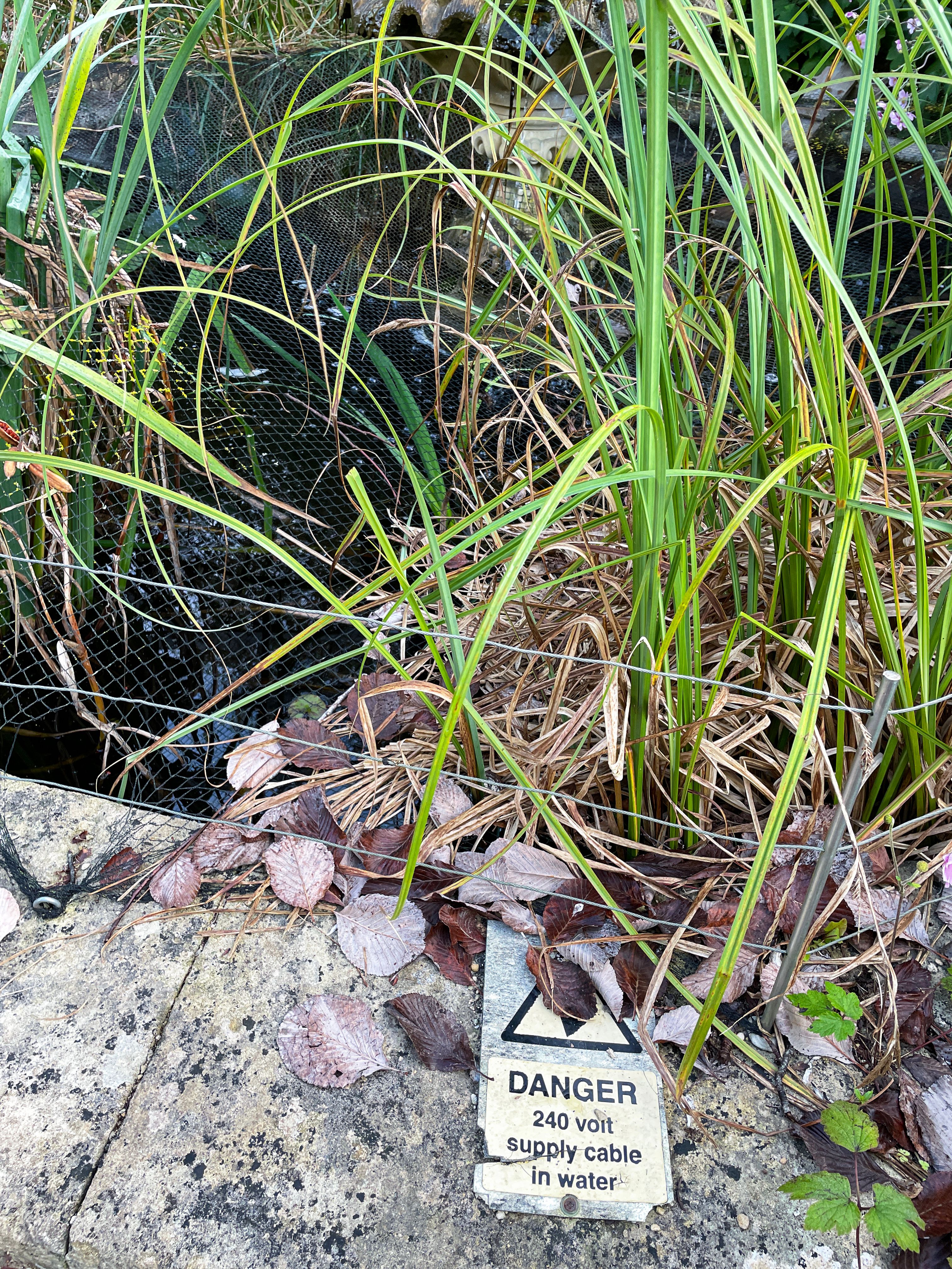 decorative pool fence