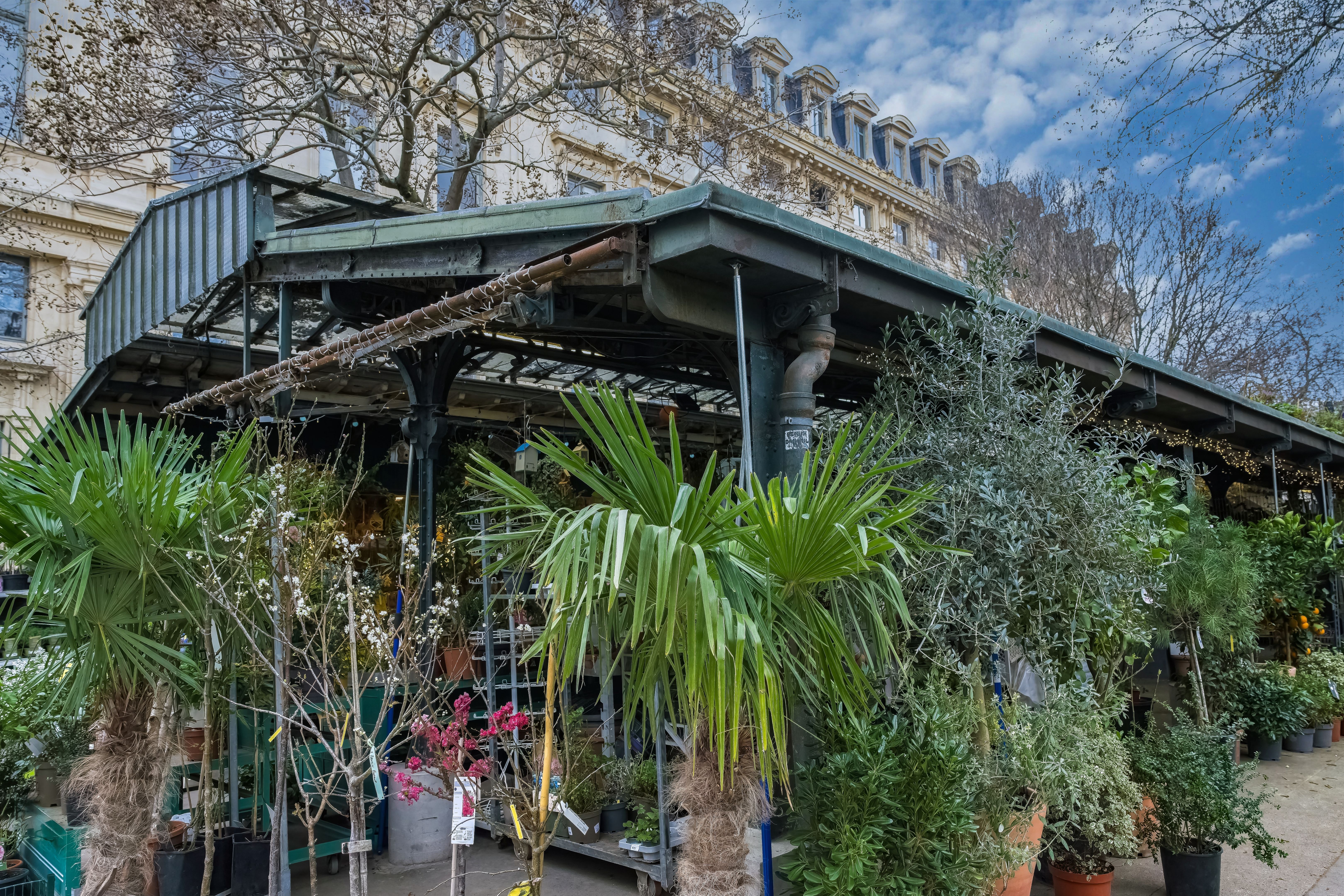 French holiday market