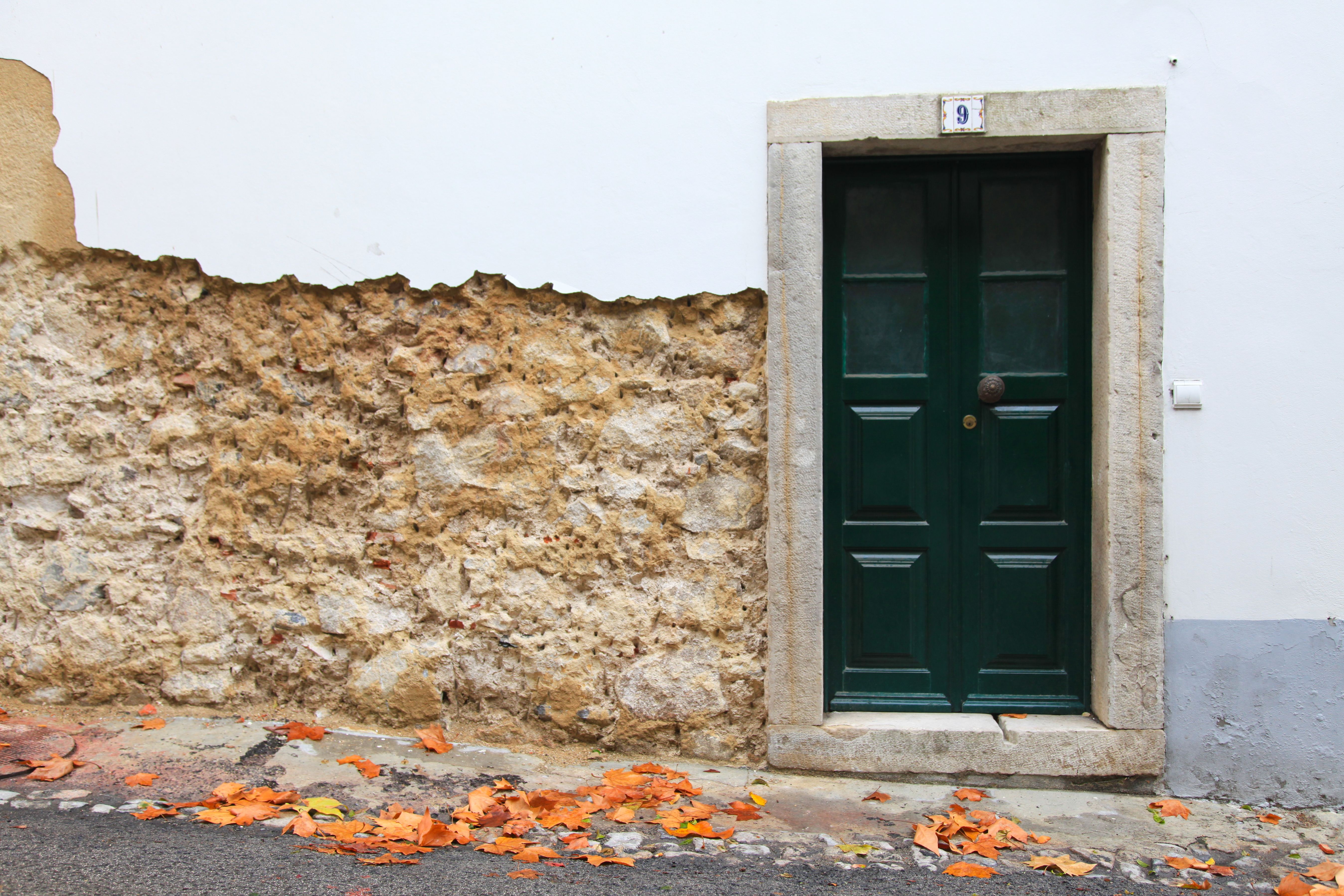 autumn leaves sintra