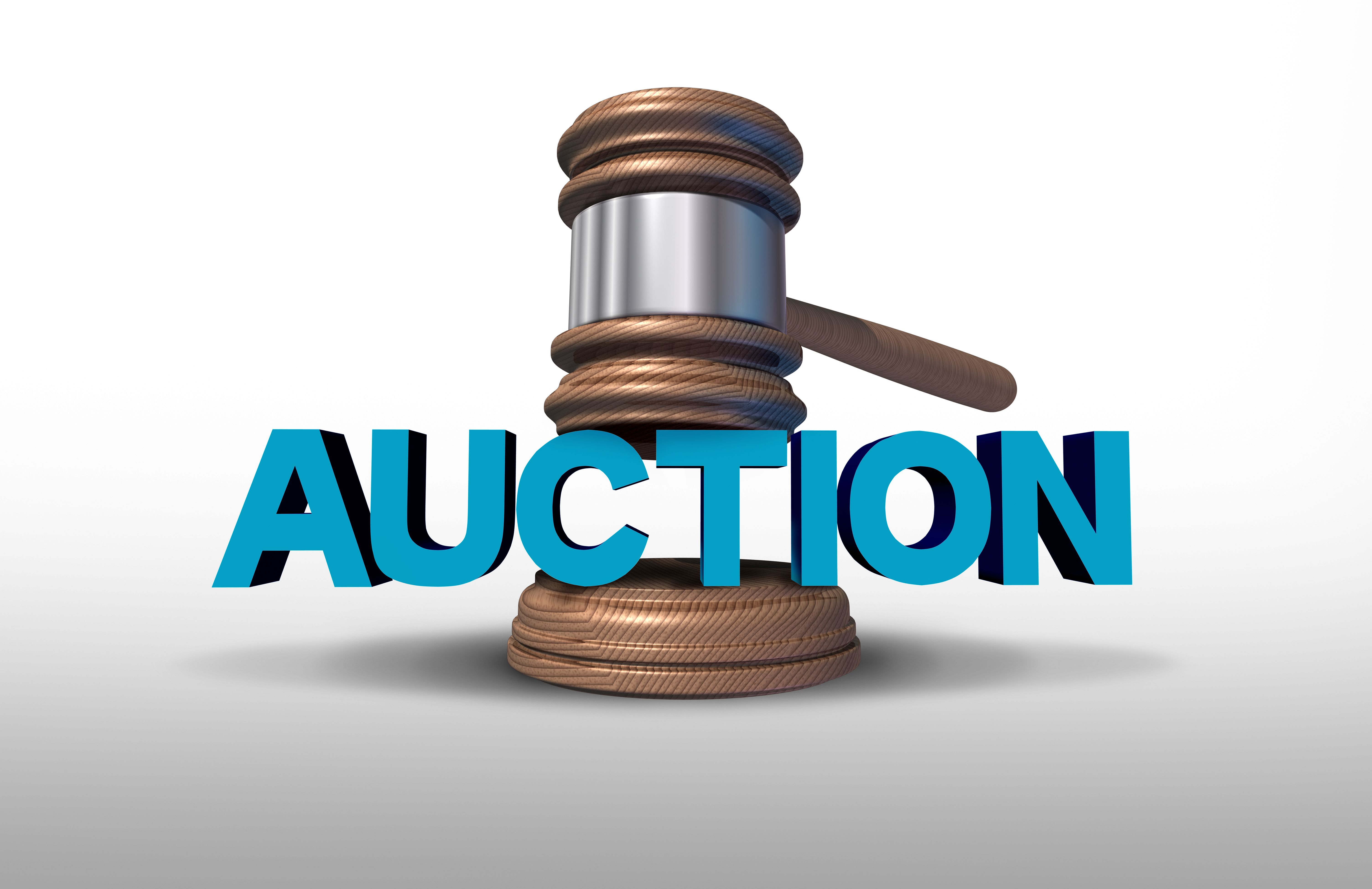 diverse auction items