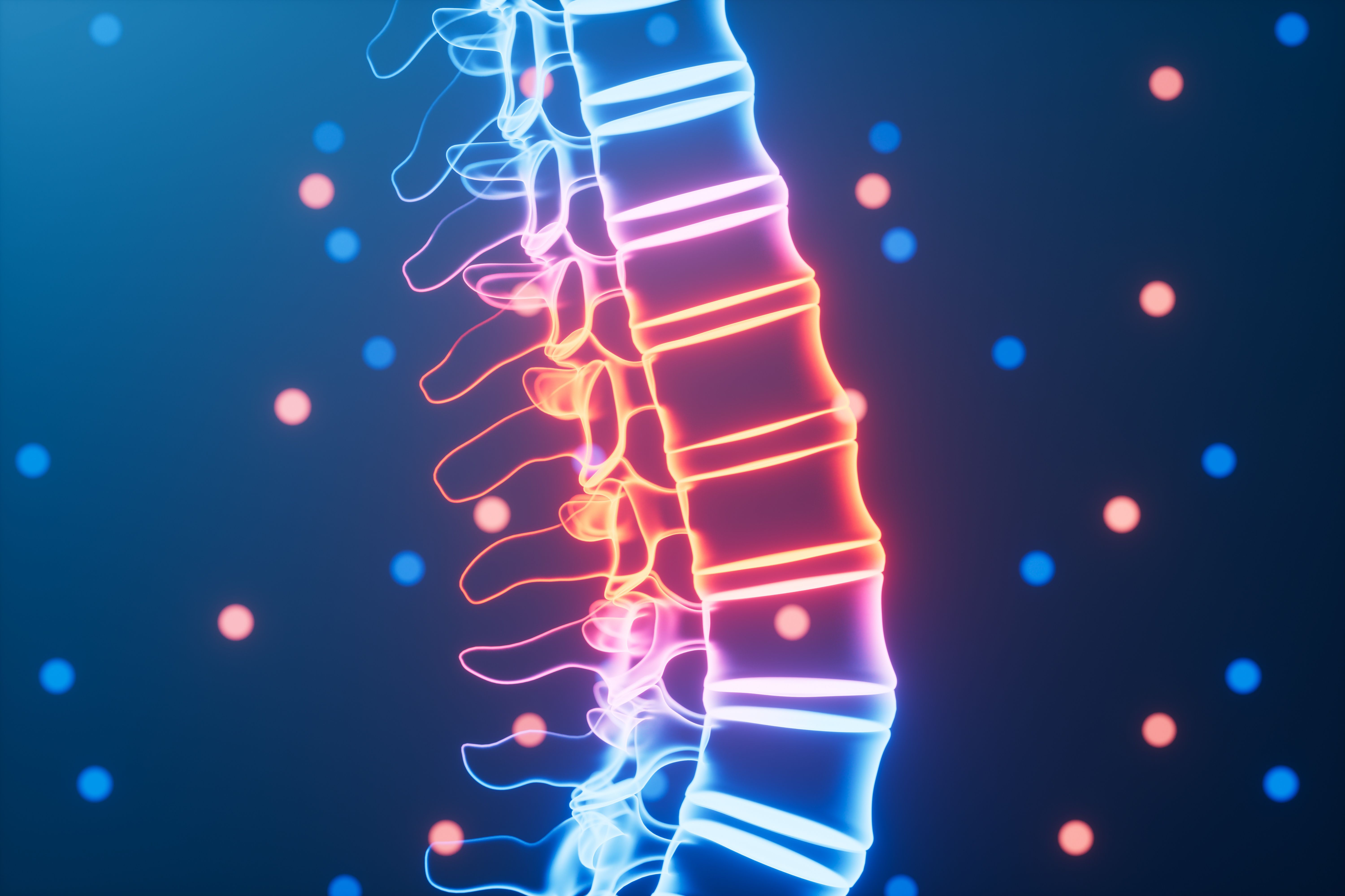 spine alignment