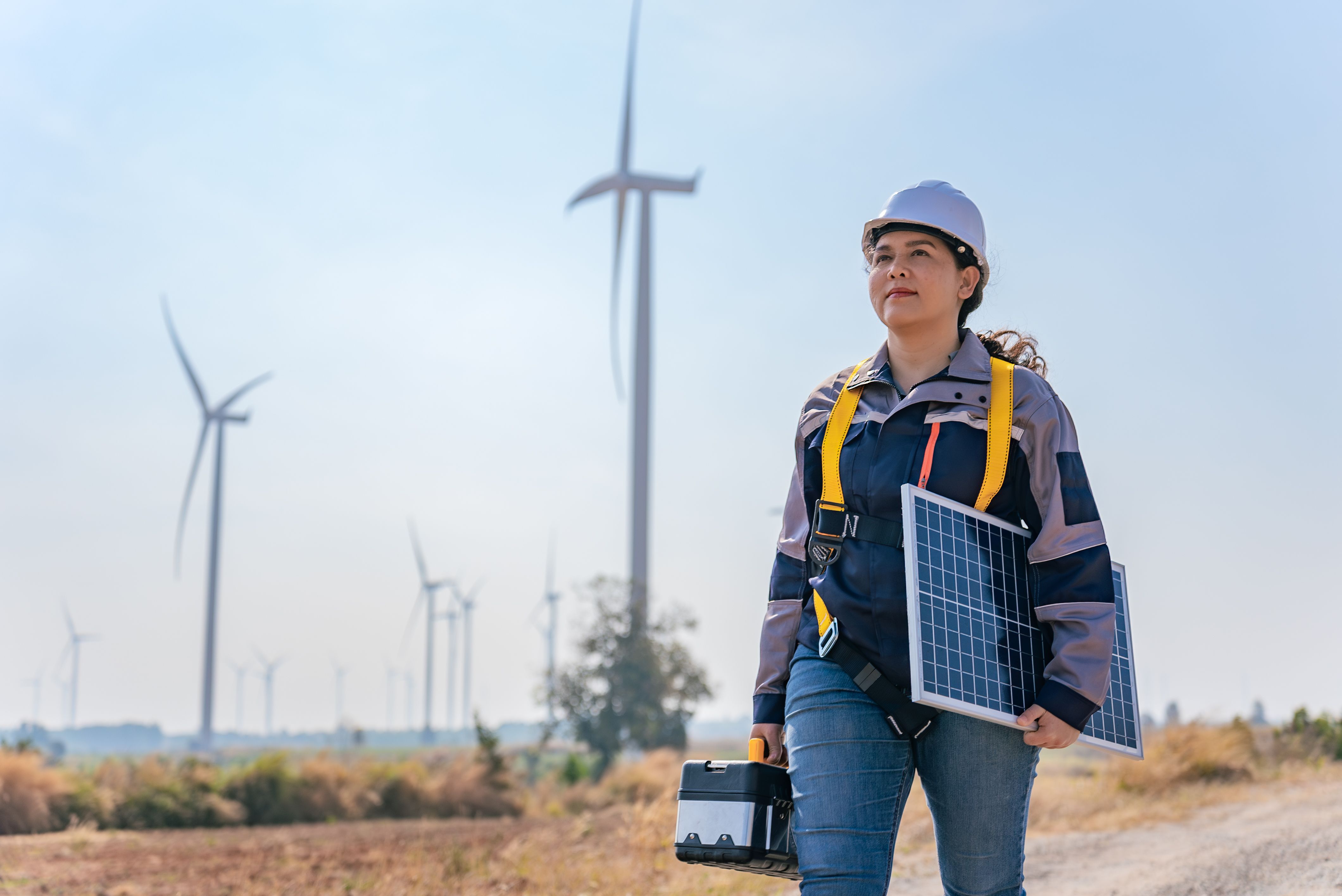 wind turbine installation