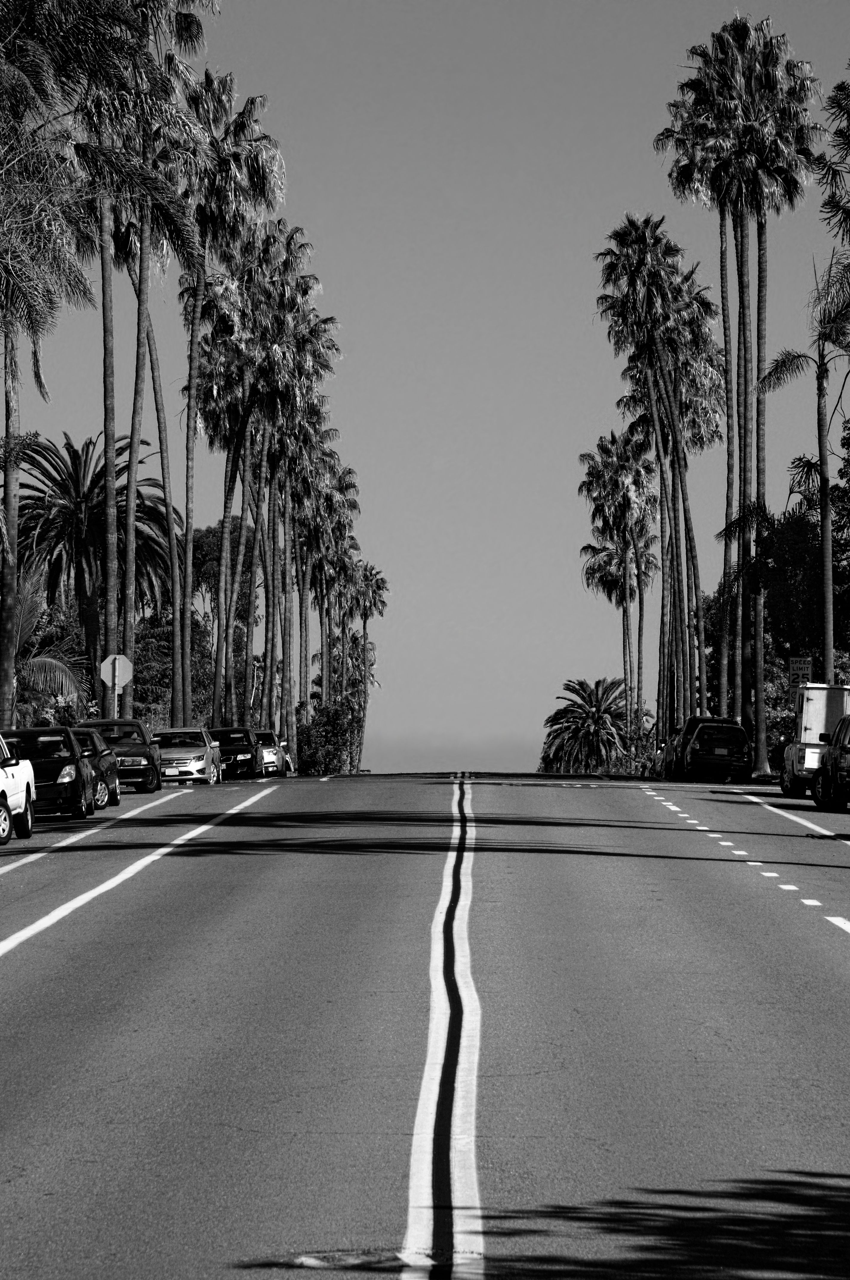 San Diego street art