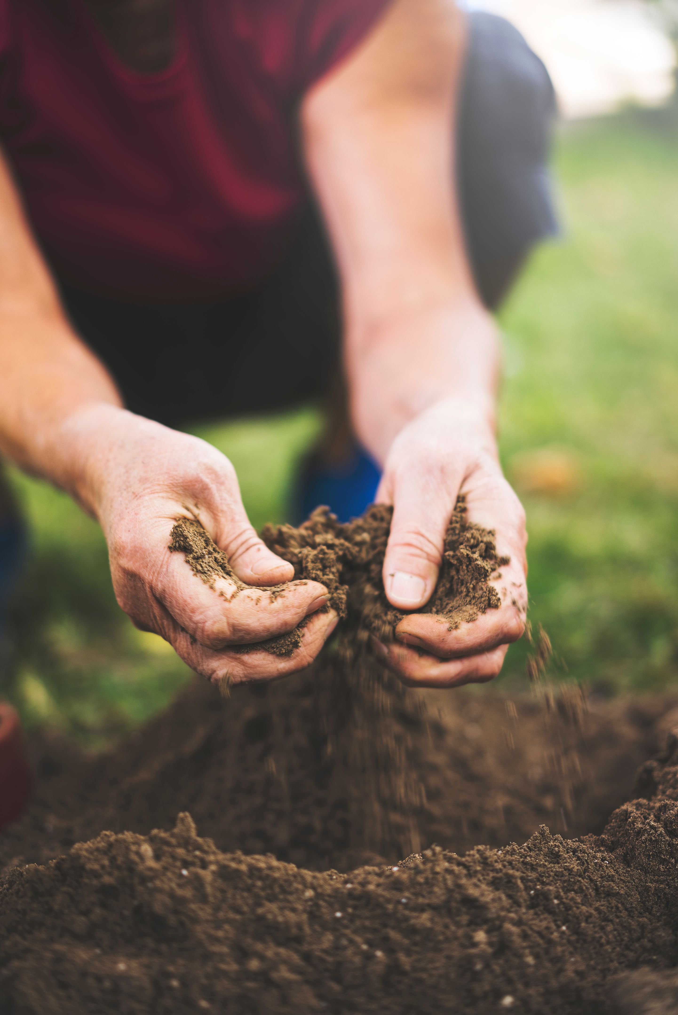 testing garden soil