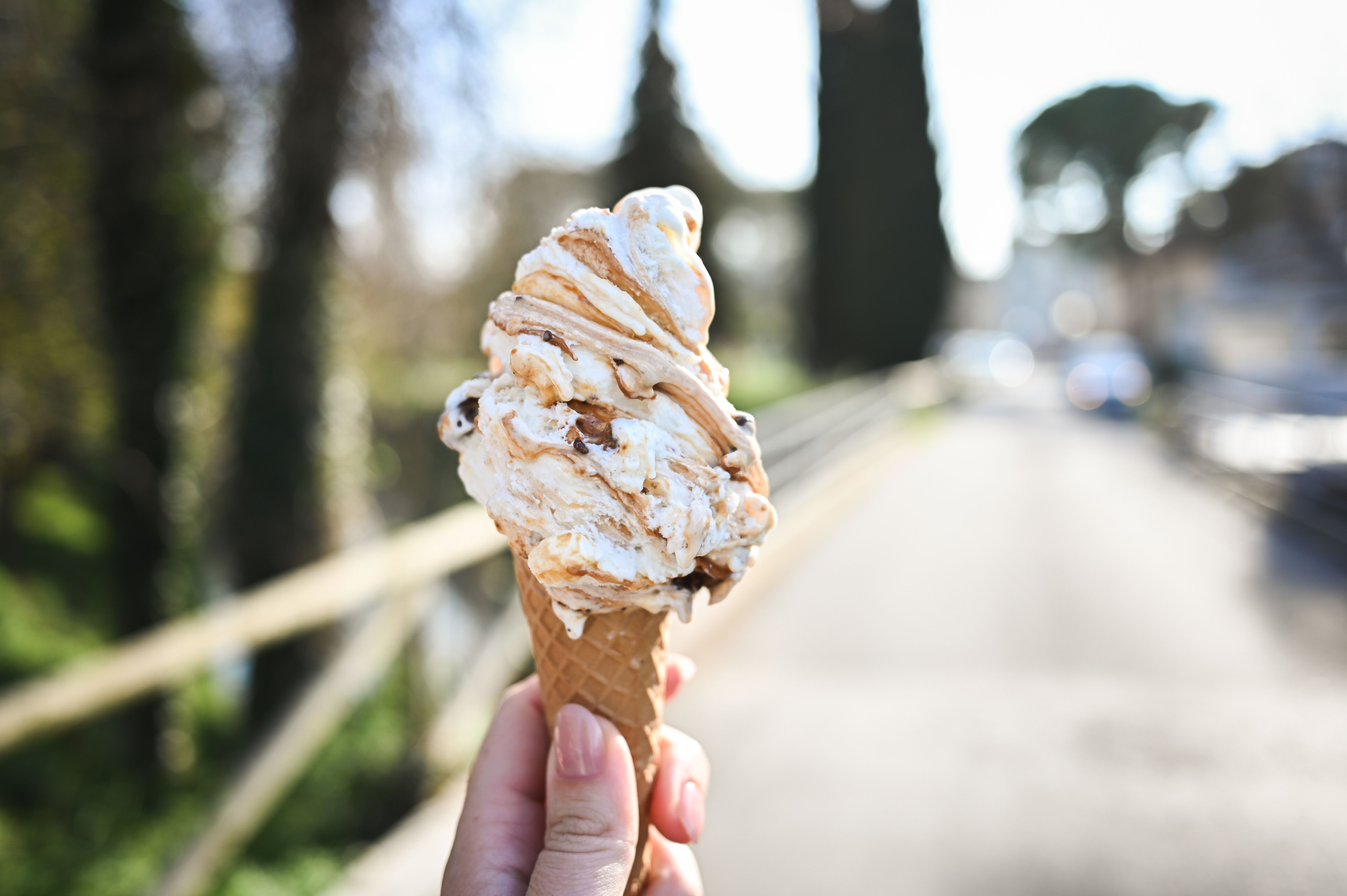 sustainable ice cream