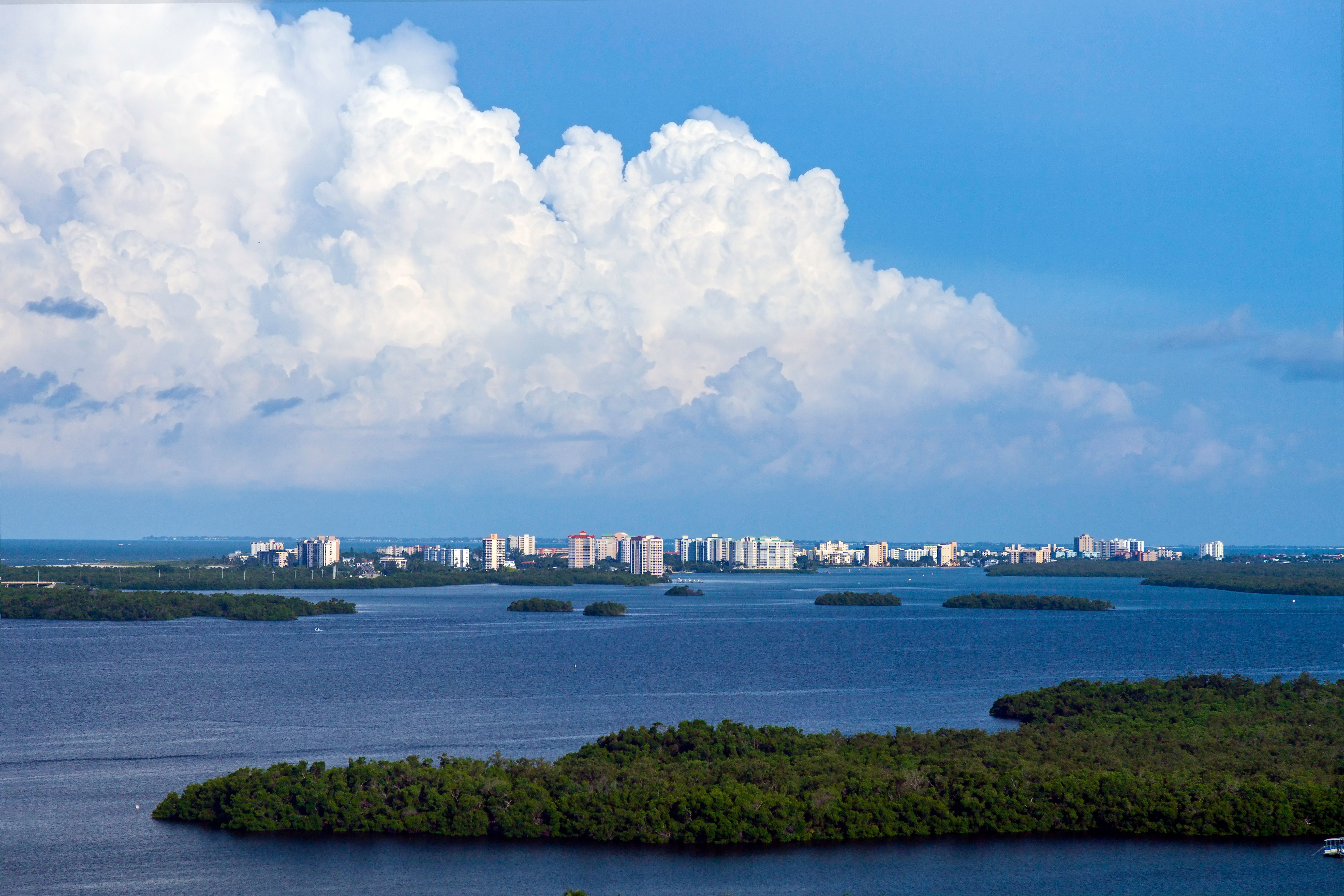 Auto Body Painting Estero 