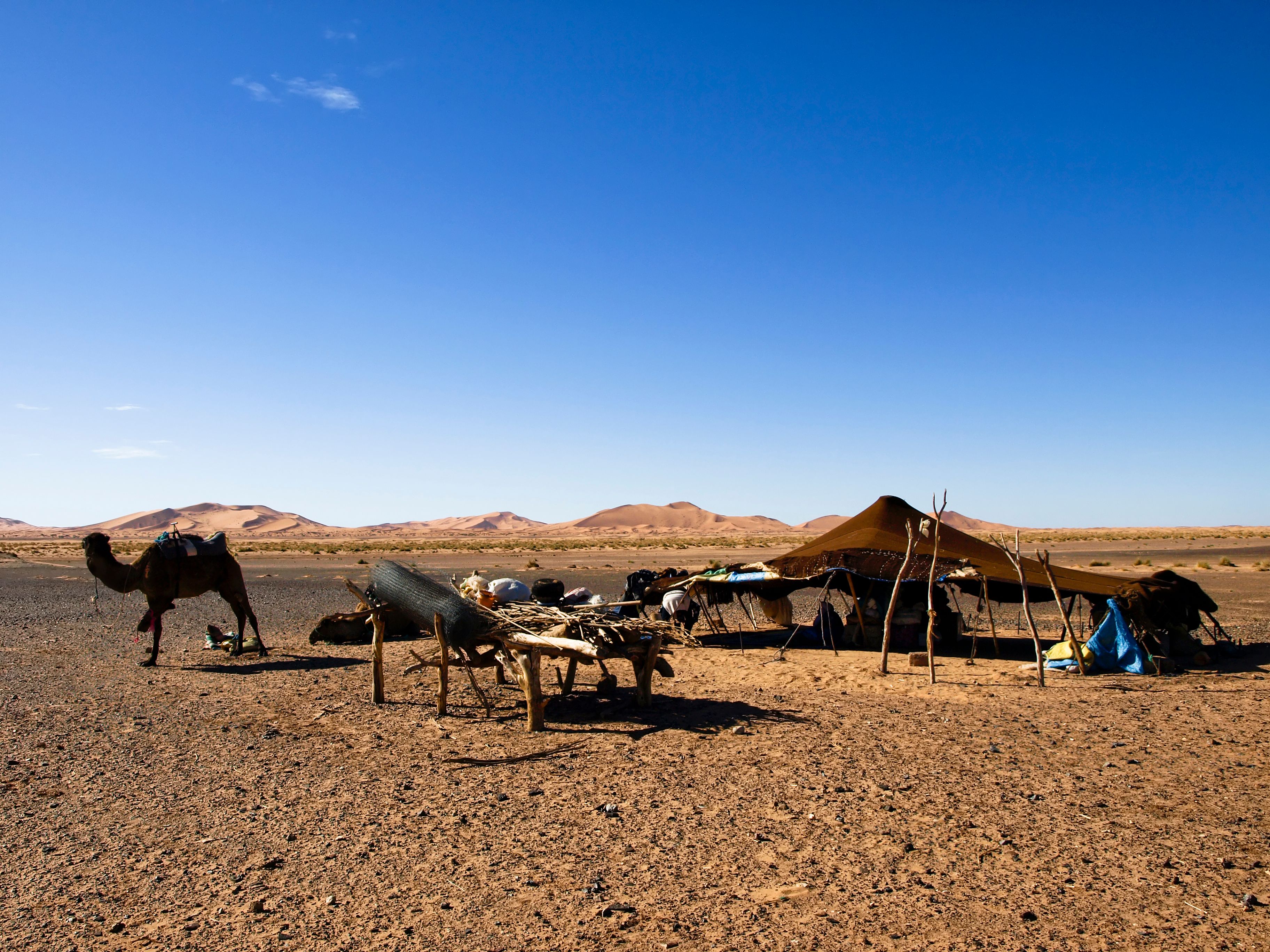 berber camp