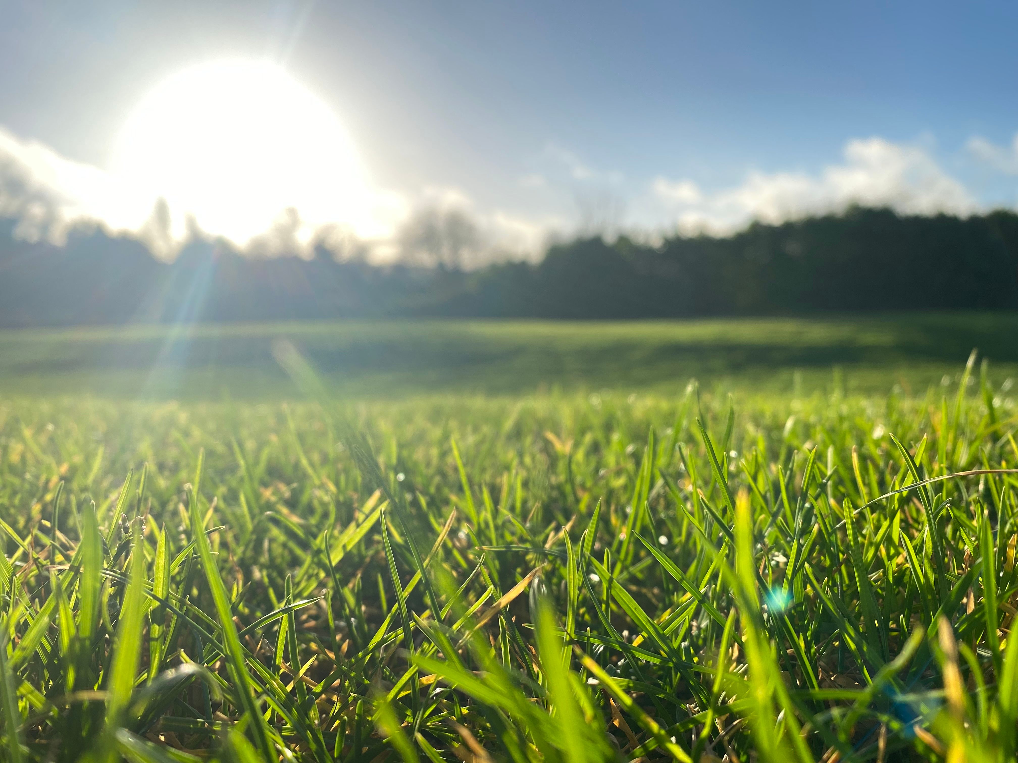 sunny weather