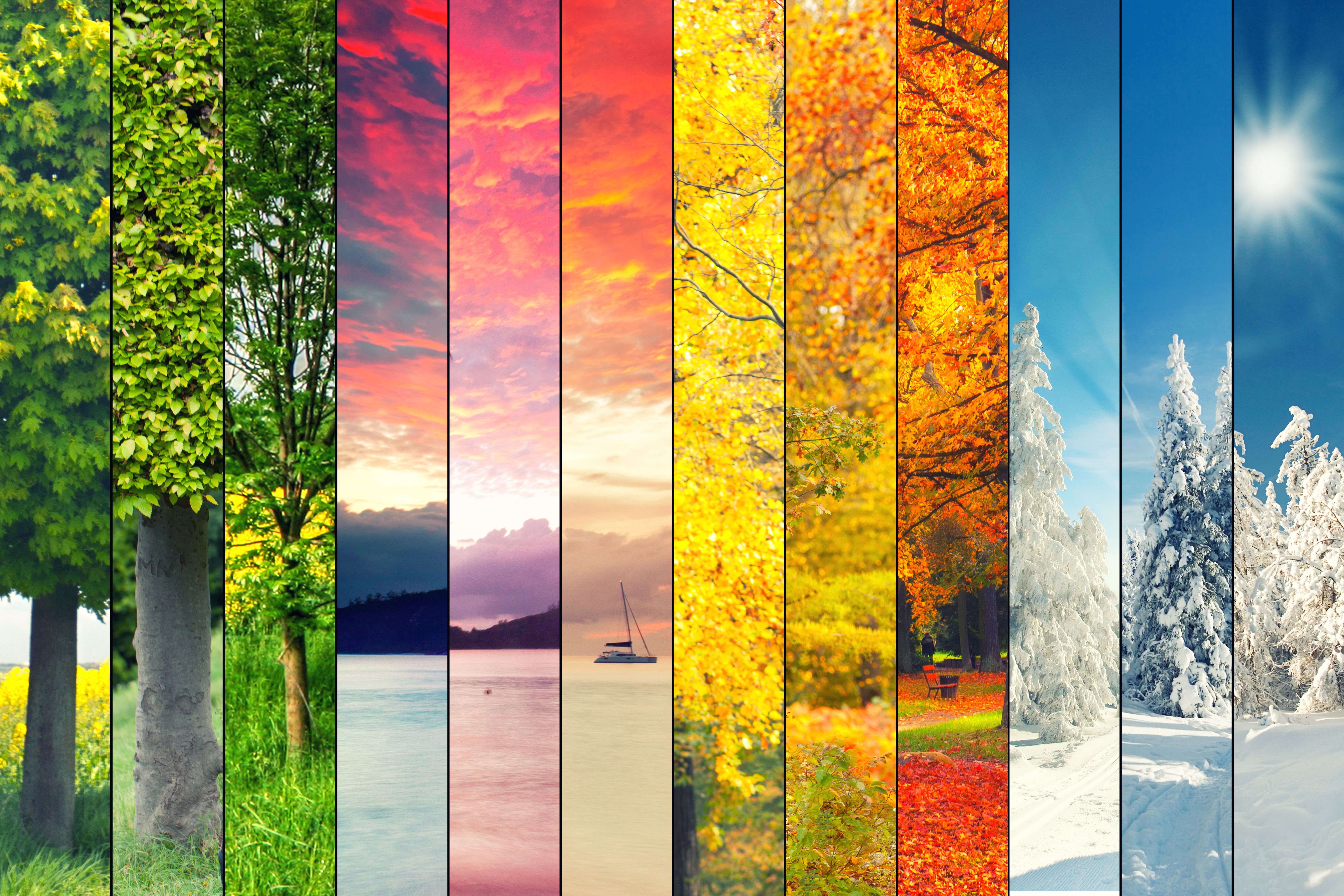 Season Present Color Seasonal Color Trends: How to Use Pigments for Each Season