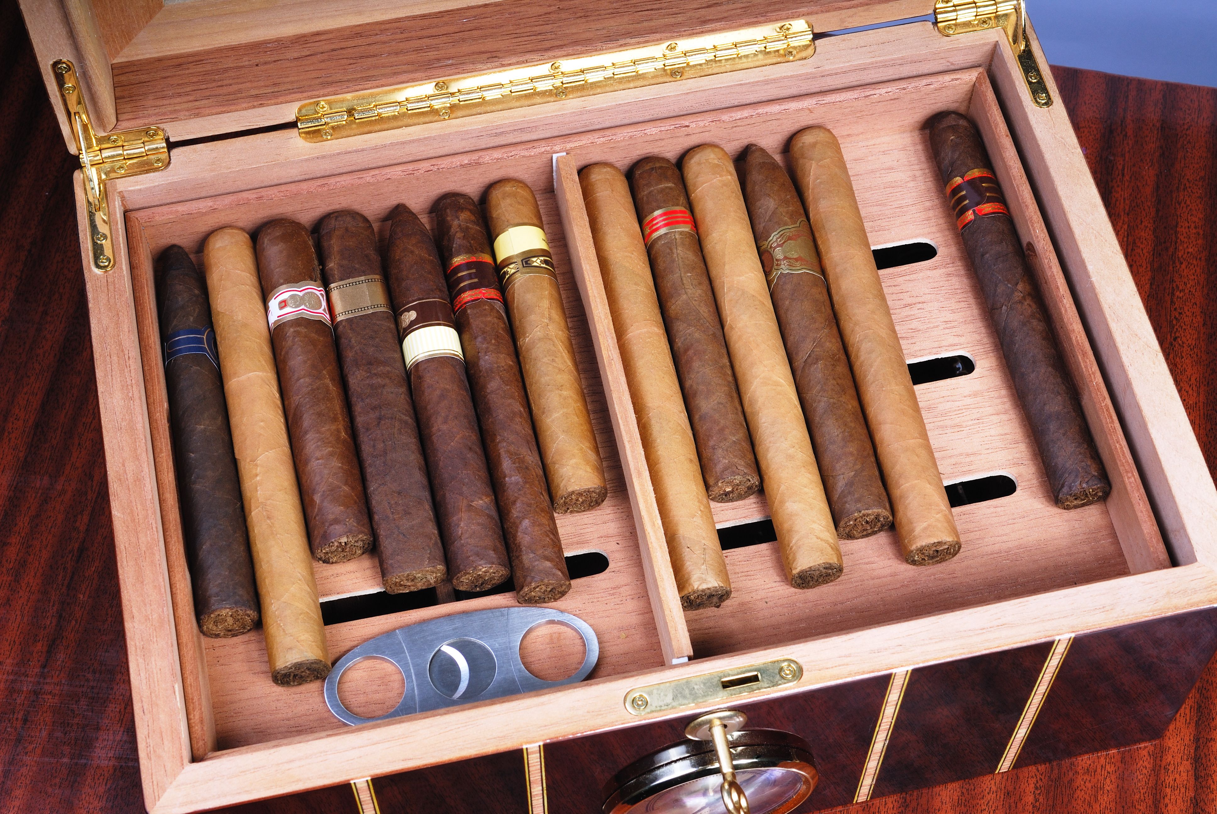 humidor storage