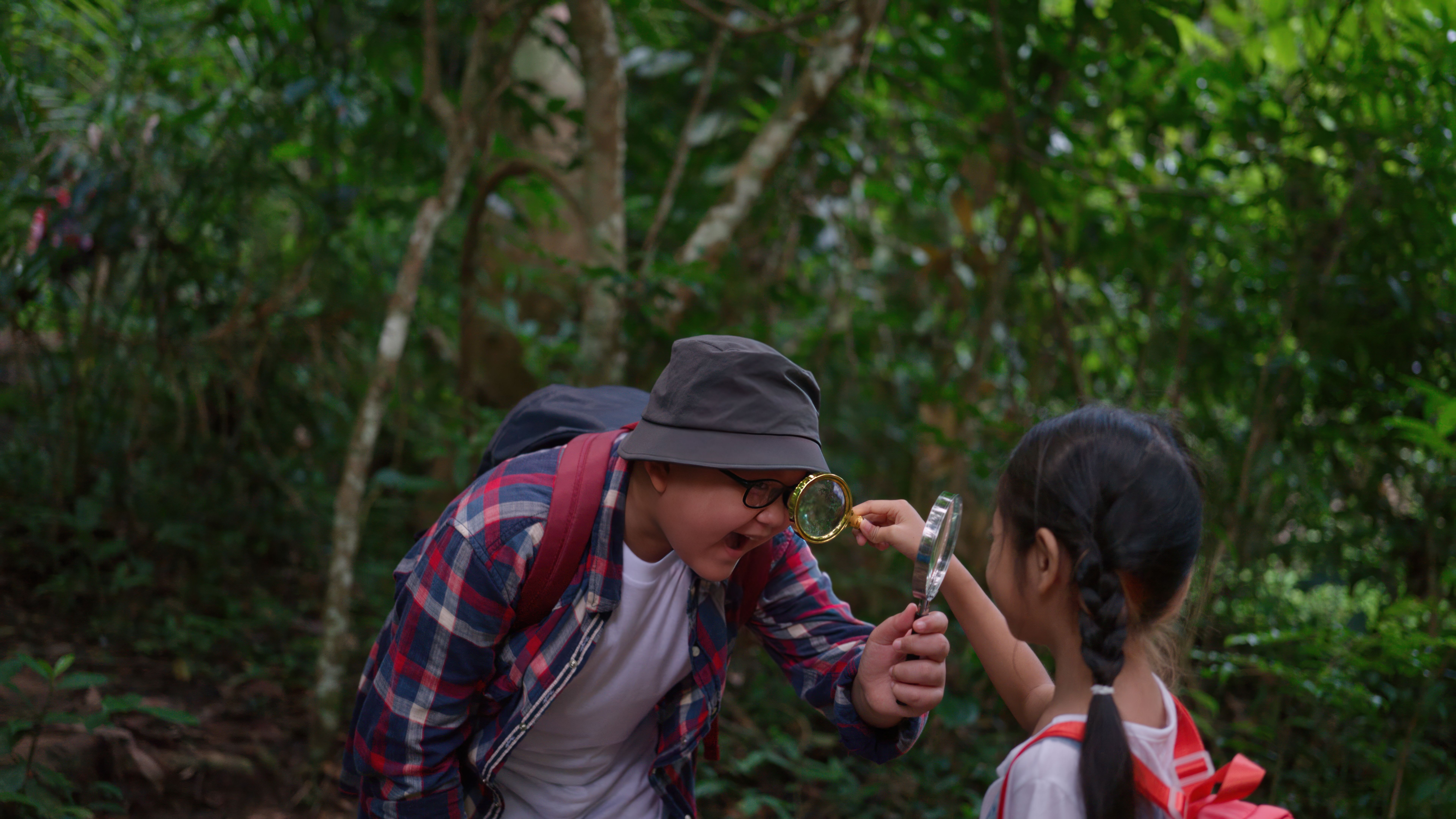 children exploring nature