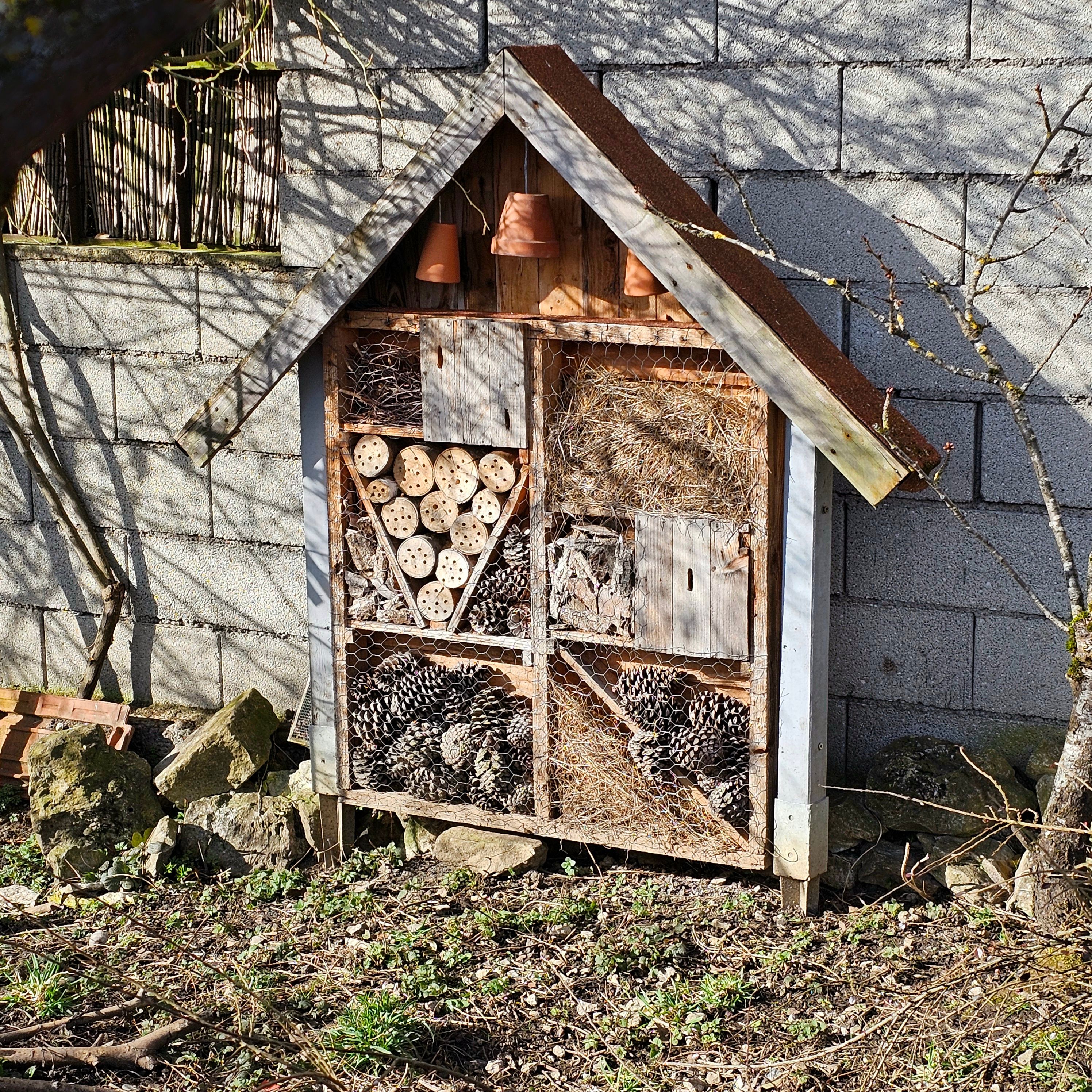 eco friendly lodging