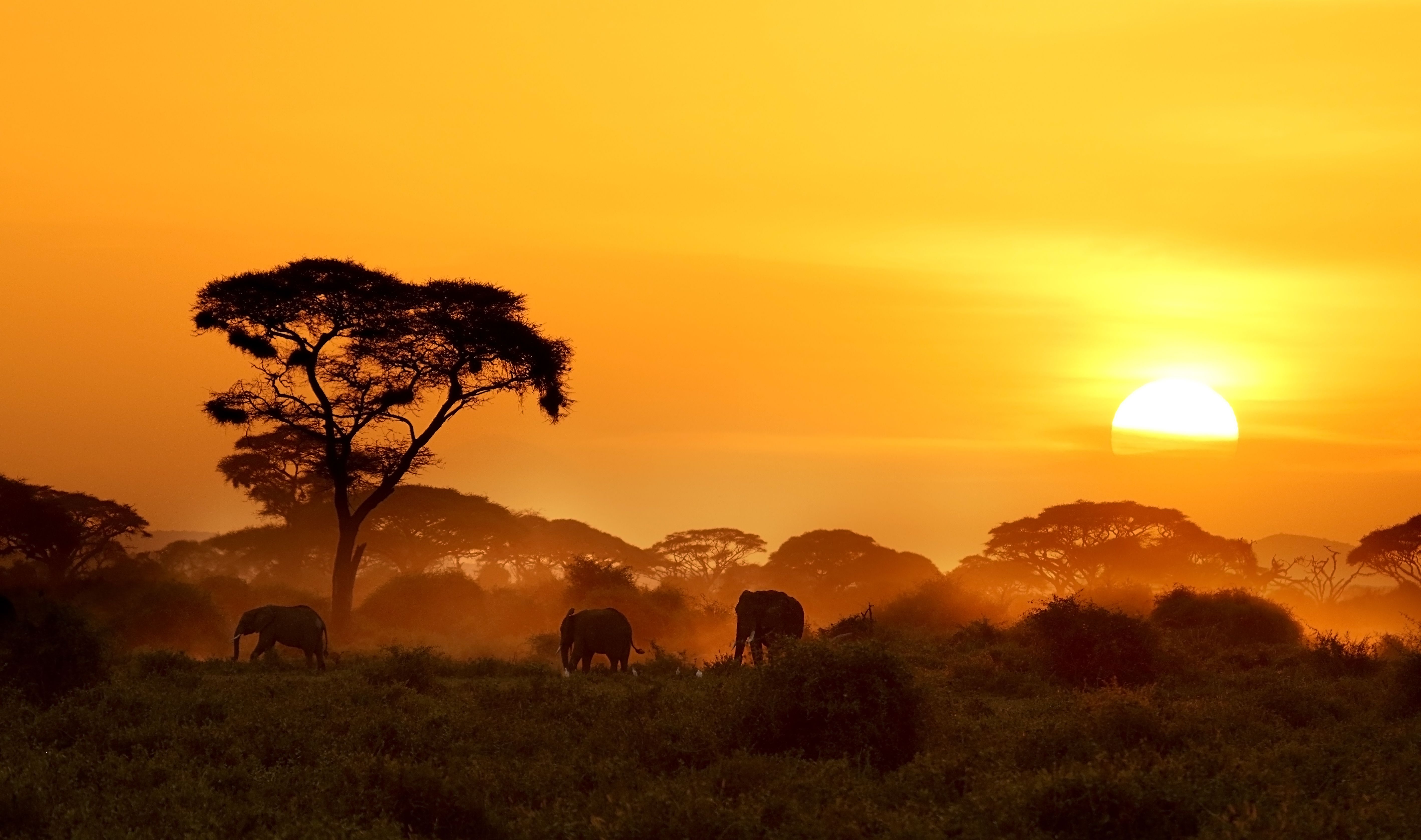 africa sunset