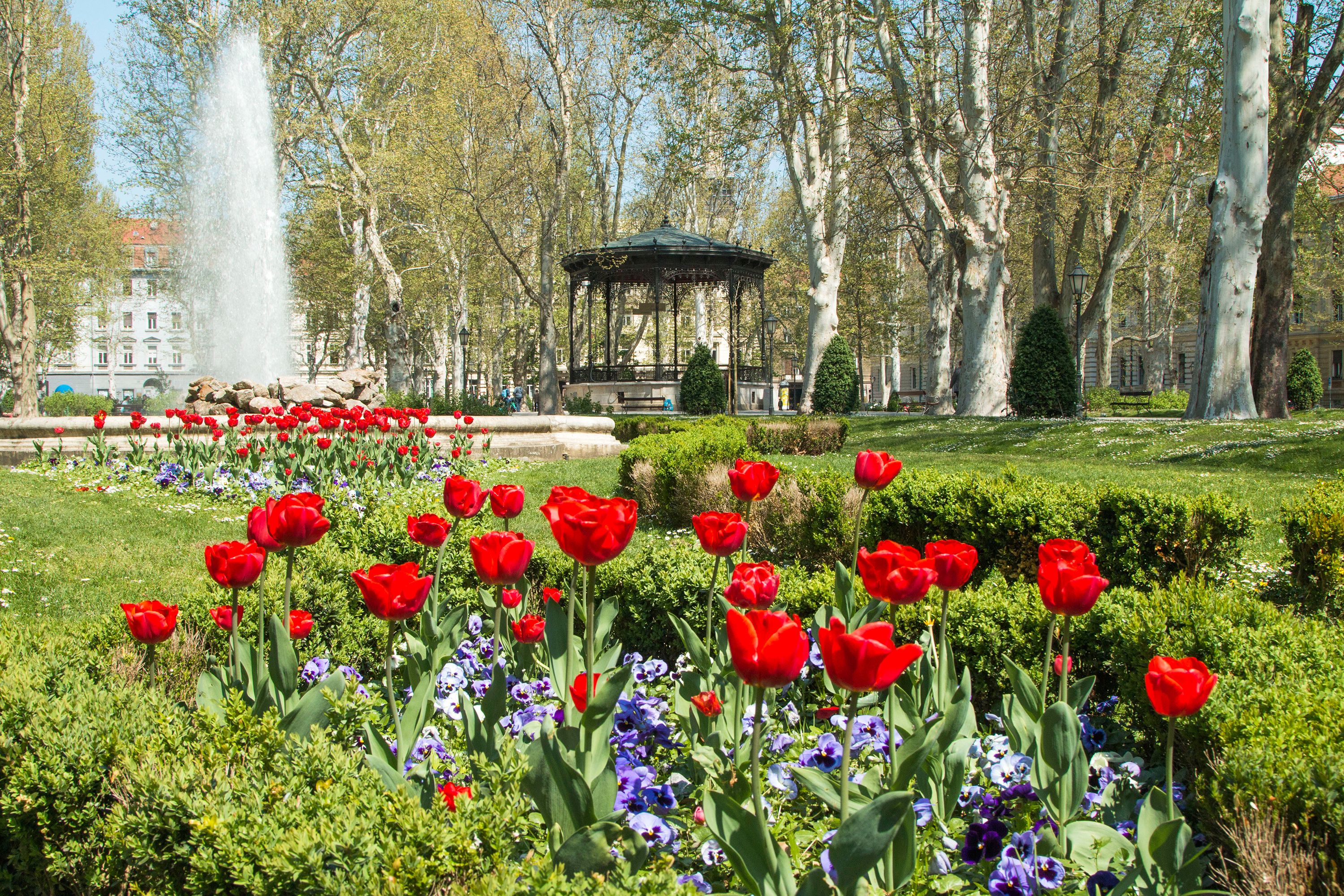 Zrinjevac Park spring