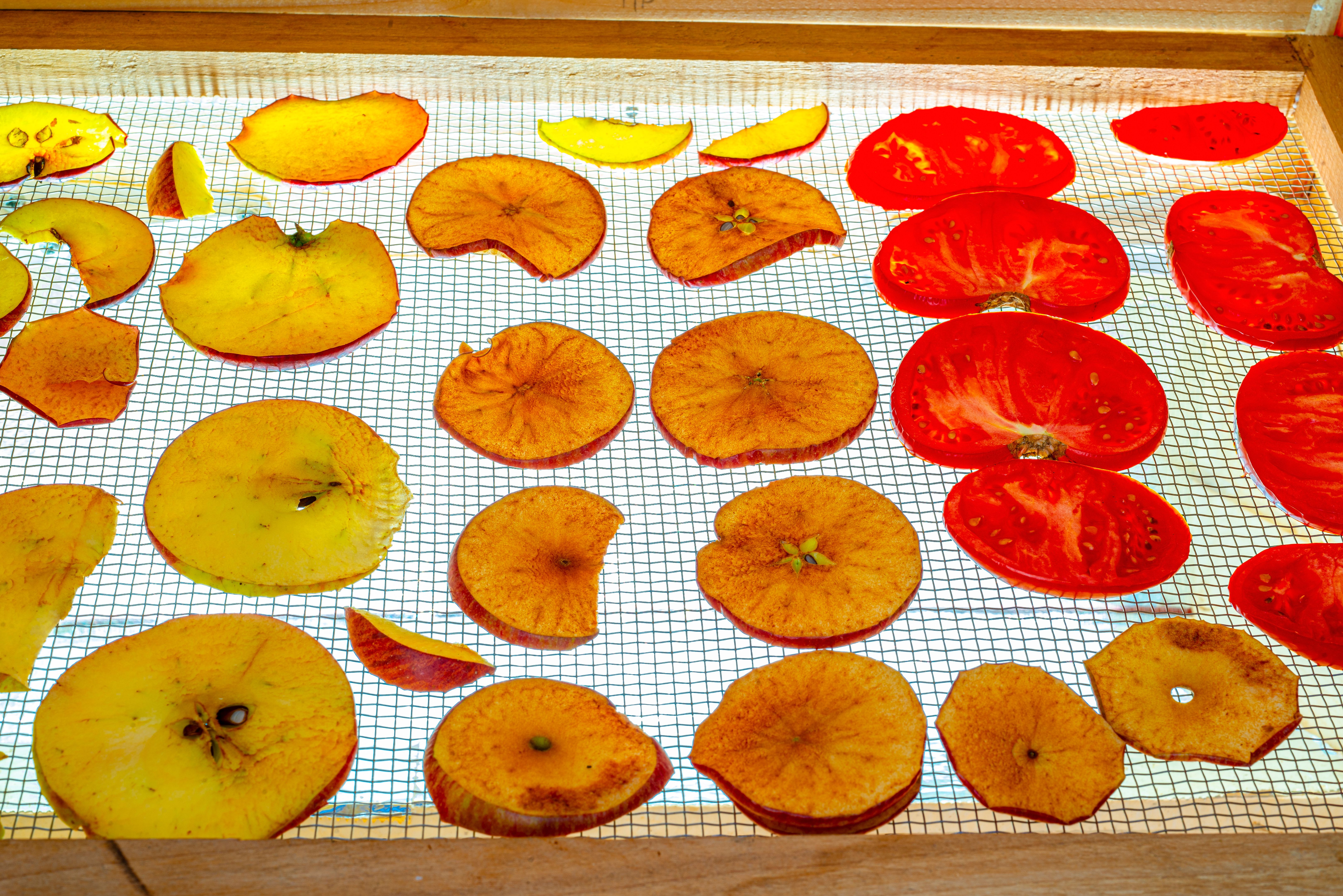 food dehydrator
