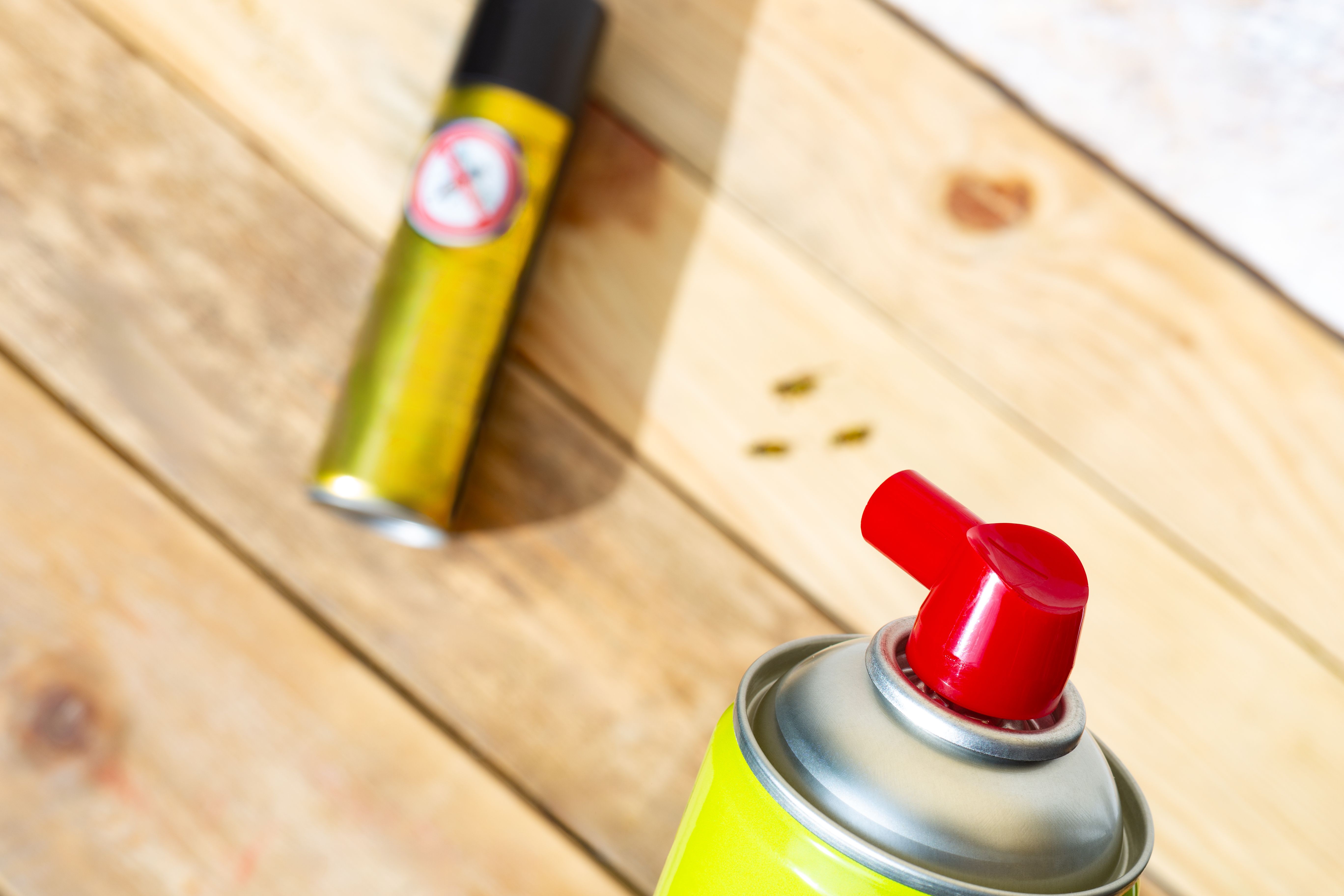 emergency pest control