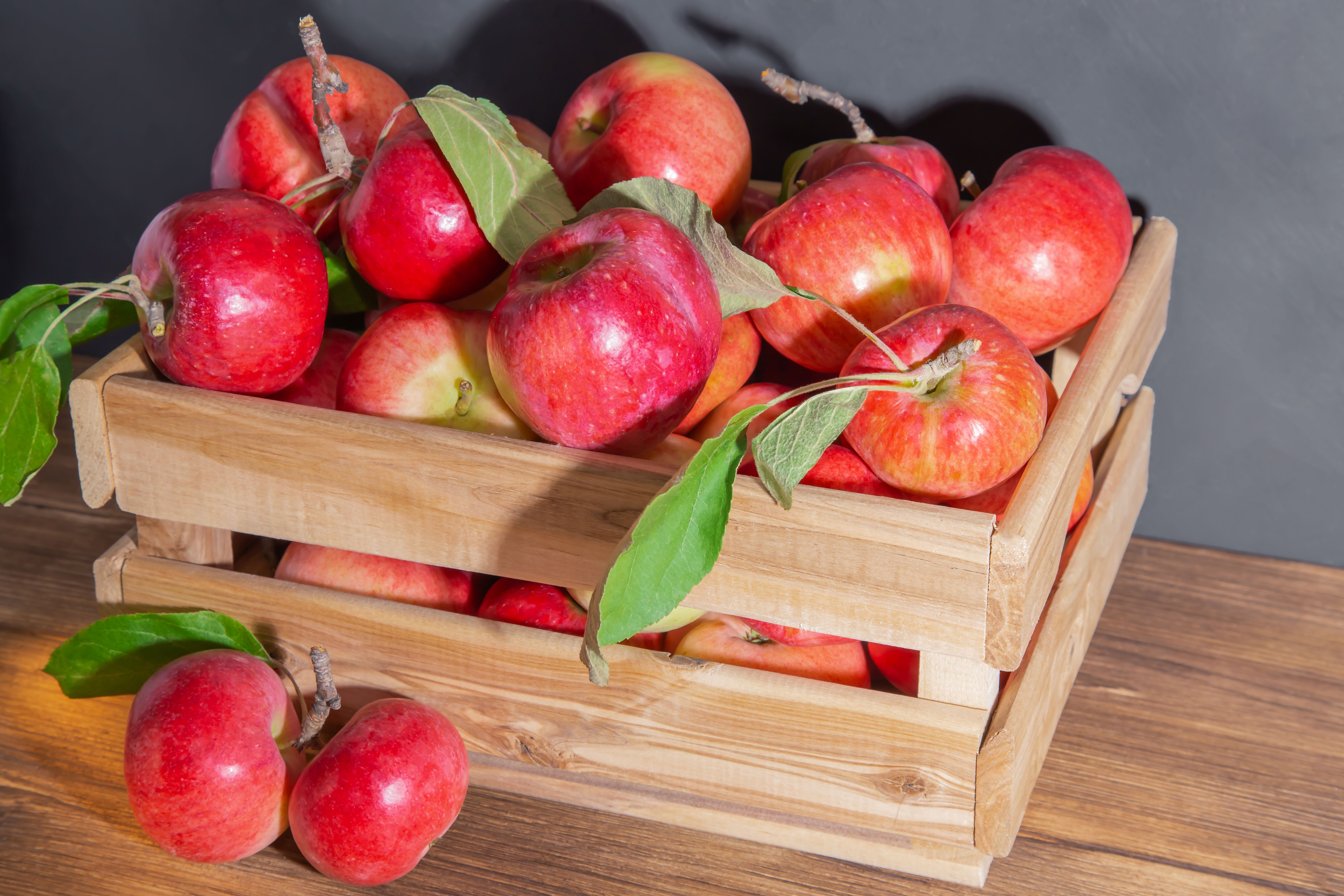 storing apples