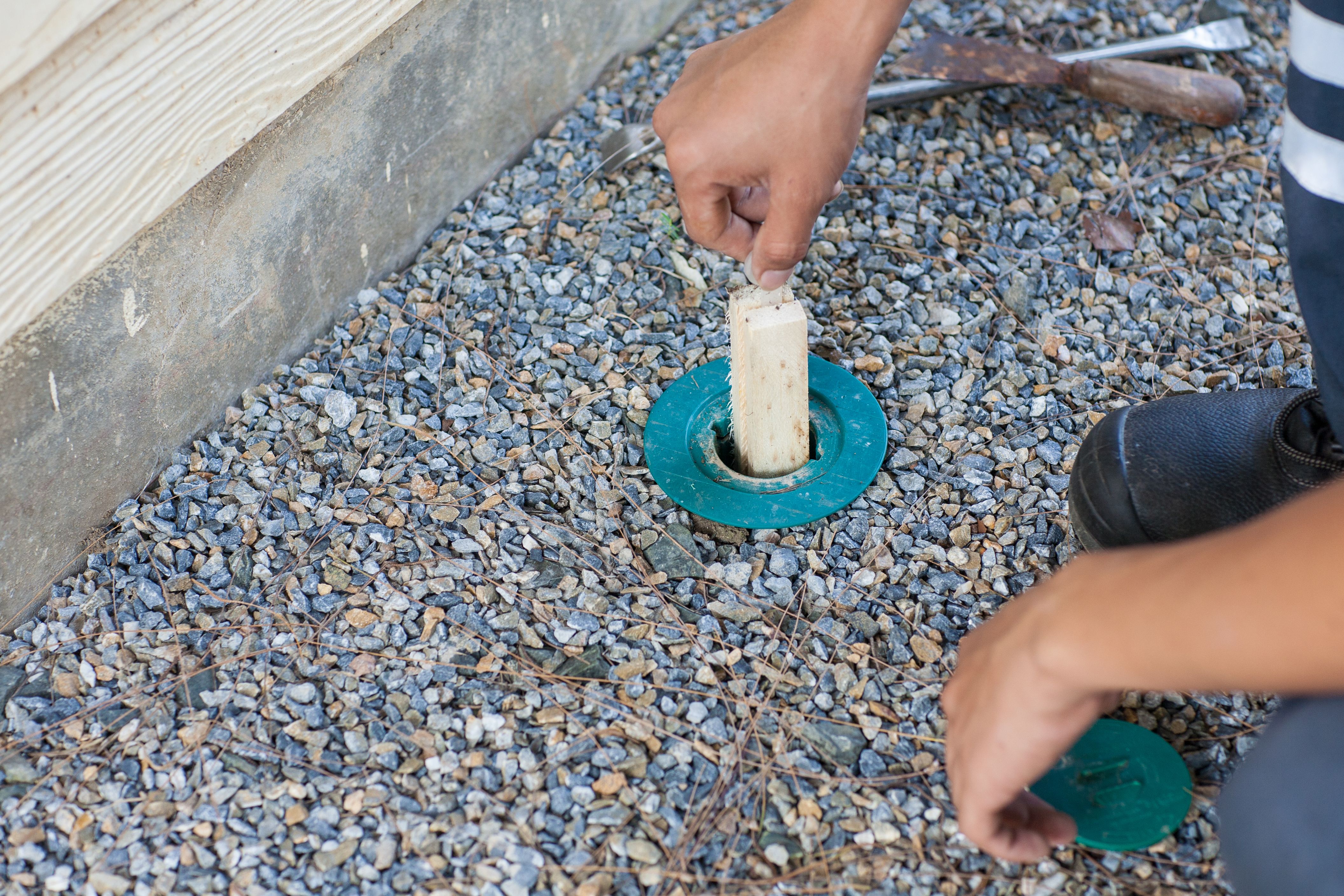 Men are replacing termite bait. Anti Termite Baiting System: 