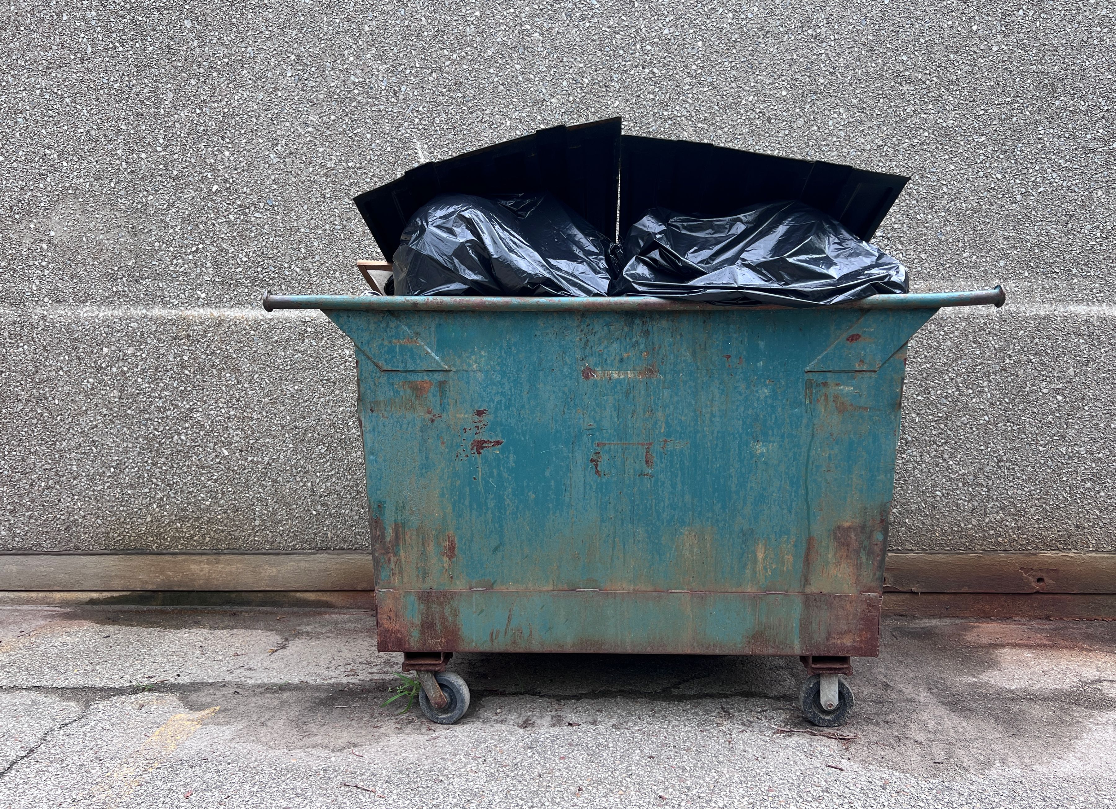 environmentally friendly dumpster