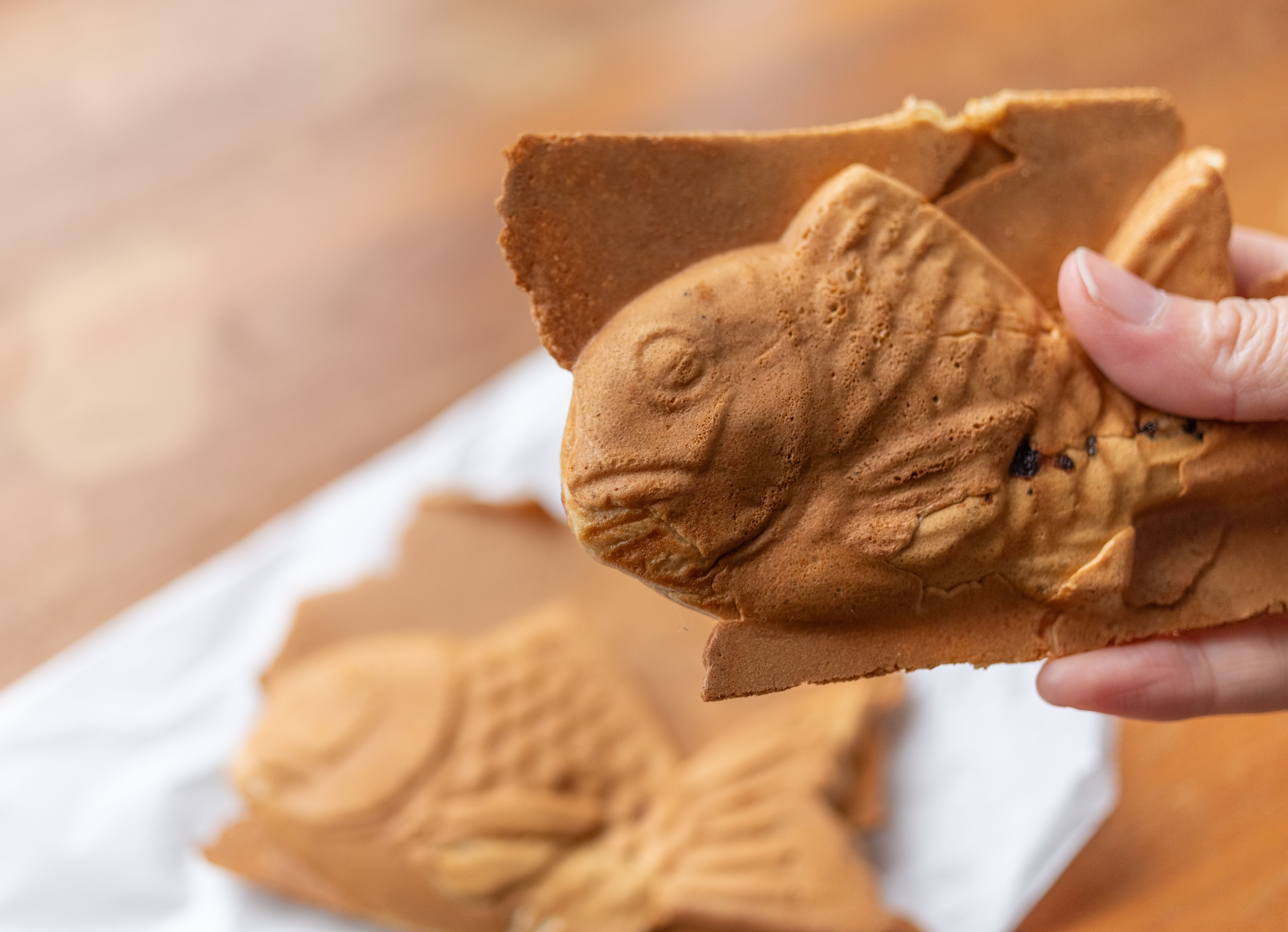 hojicha taiyaki